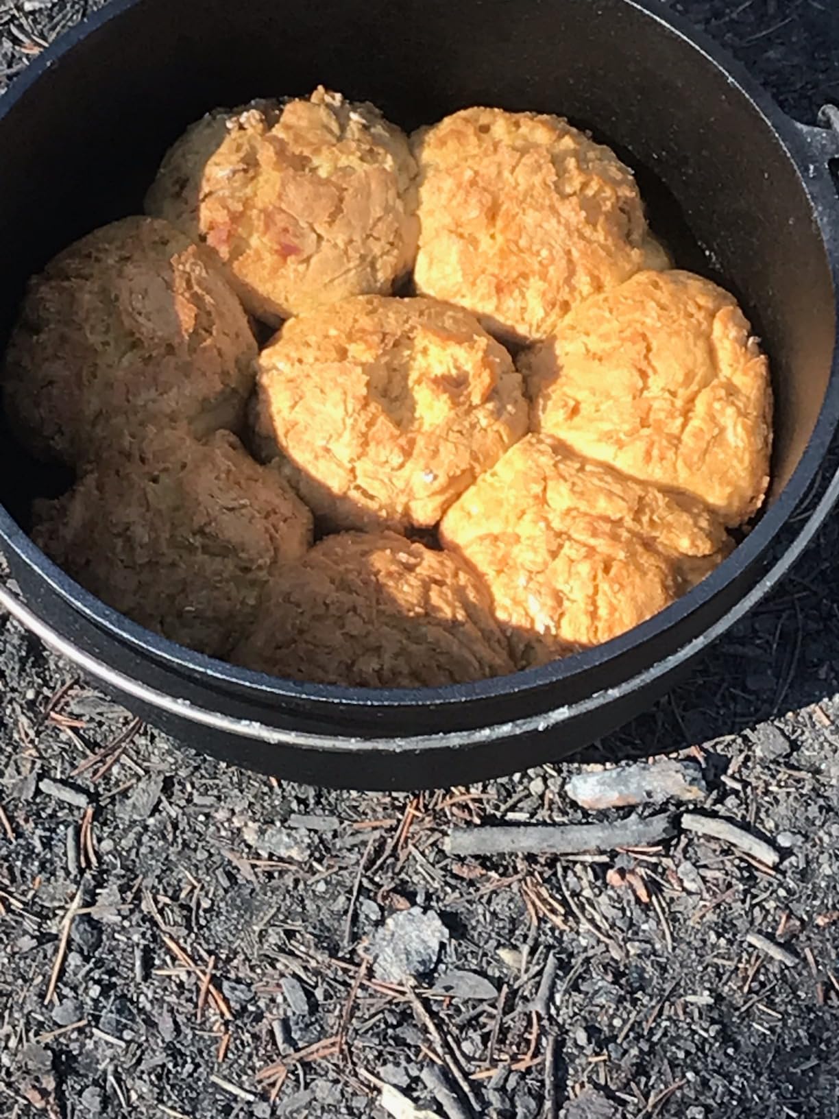 Camp Chef 12 in. Cast Iron Dutch Oven, Pre-Seasoned | Model SDO12, Flanged lid holds coals on top for even heat customer photo 1