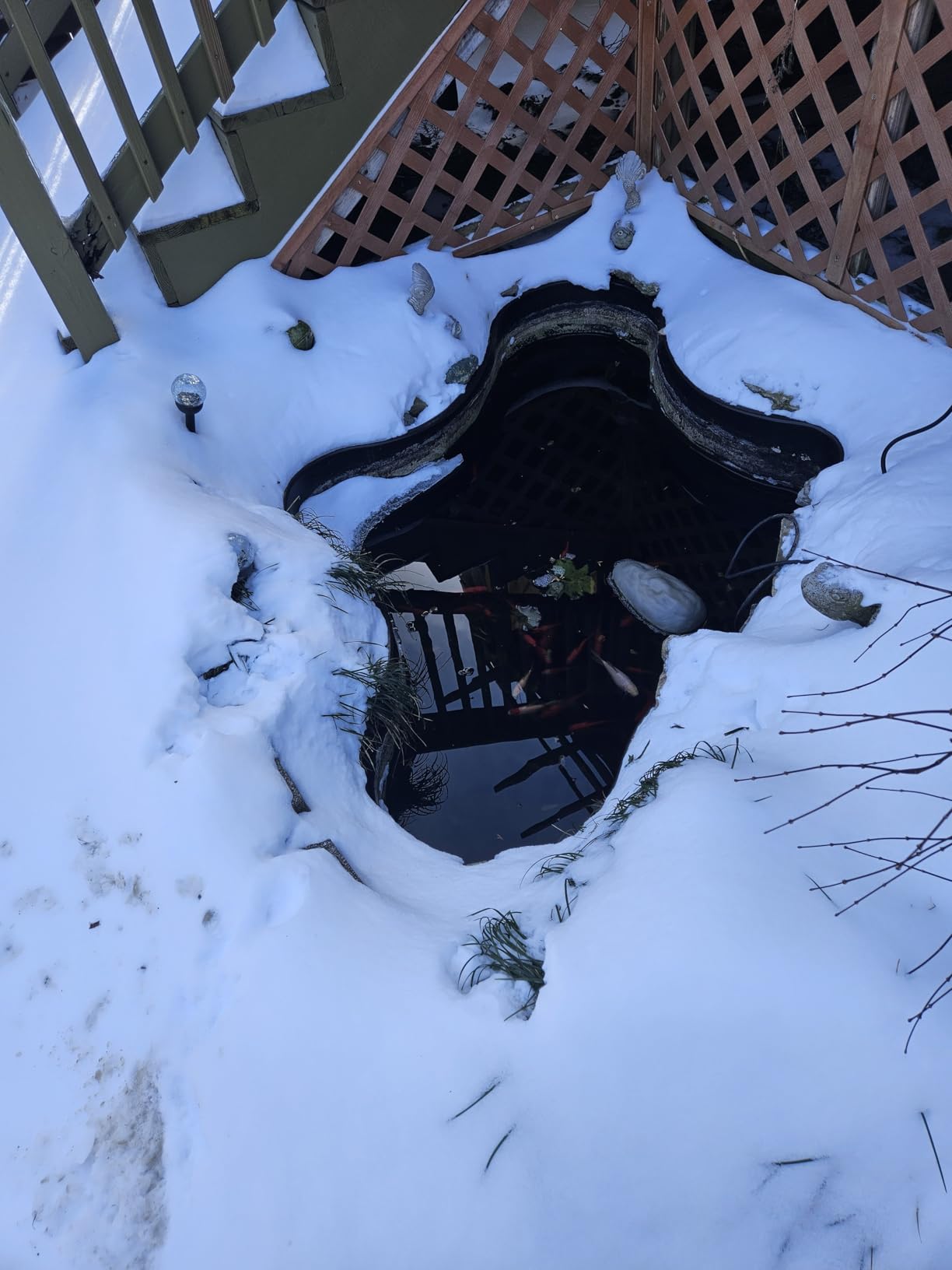 Tetra Pond De-Icer, Winter Survival Solution for Fish | Keeps Area Of Pond Free From Ice To Release Toxic Gases, Works As Low As -20 Degrees, 300 Watts, Includes 15 ft Power Cord customer photo 1