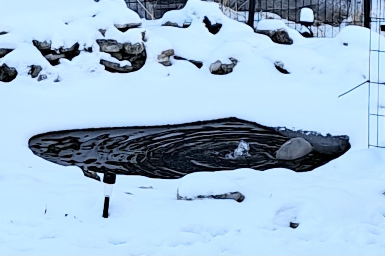 Tetra Pond De-Icer, Winter Survival Solution for Fish | Keeps Area Of Pond Free From Ice To Release Toxic Gases, Works As Low As -20 Degrees, 300 Watts, Includes 15 ft Power Cord customer photo 2