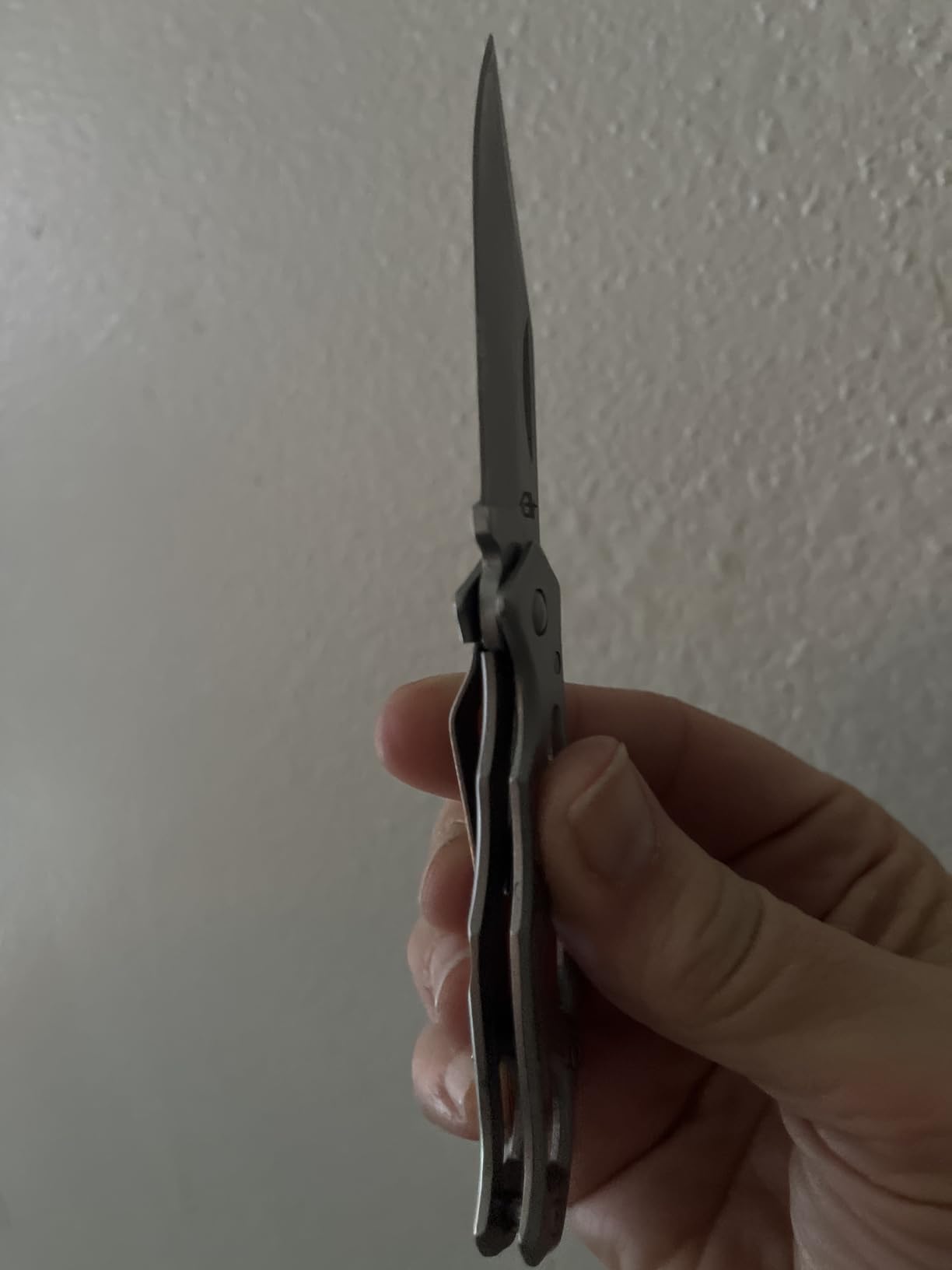 Gerber Gear Paraframe Mini Pocket Knife, 2.2