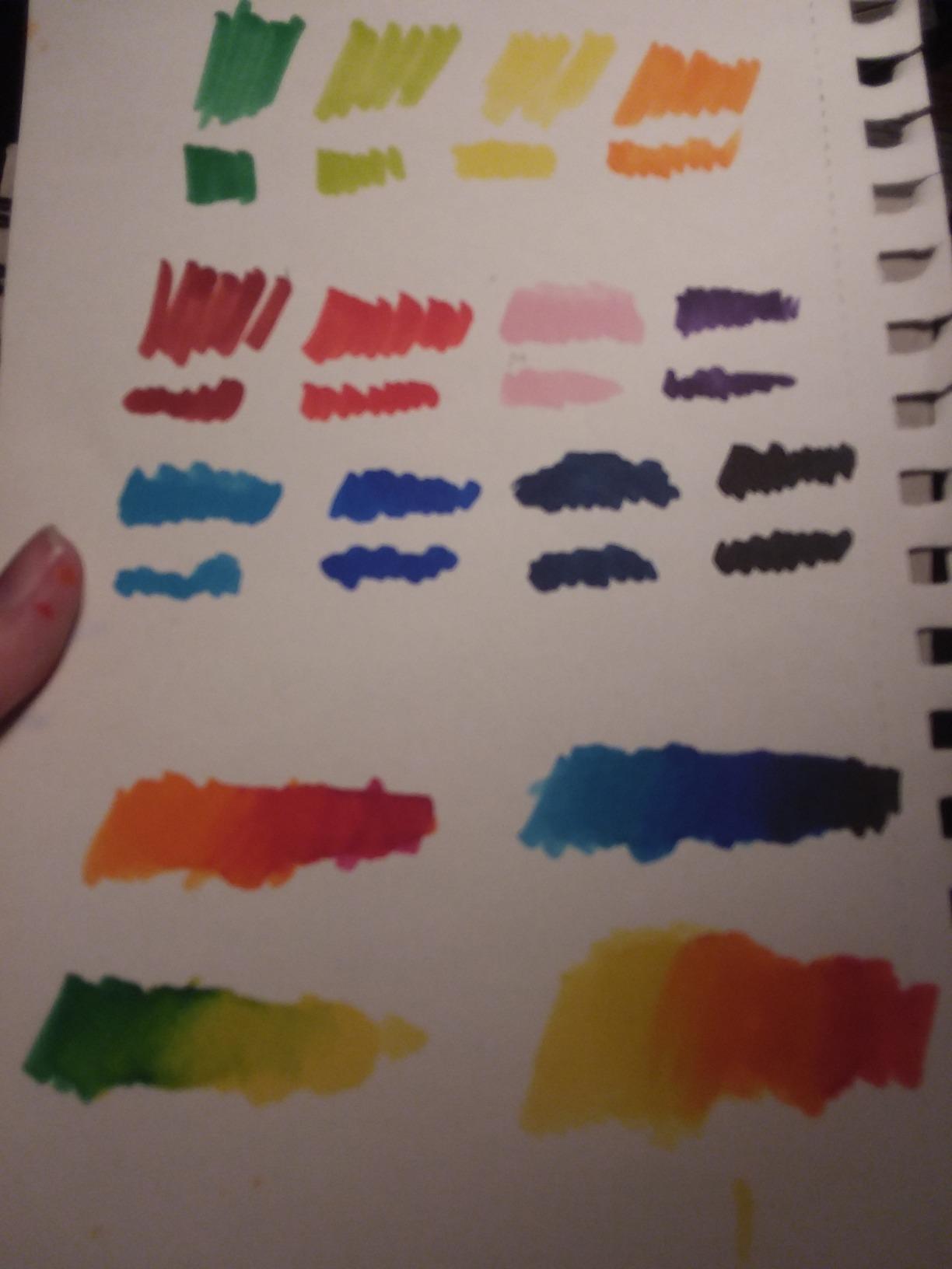 Copic Sketch 12-Color Set, Refillable Blendable Dual-Tip Alcohol Markers customer photo 2