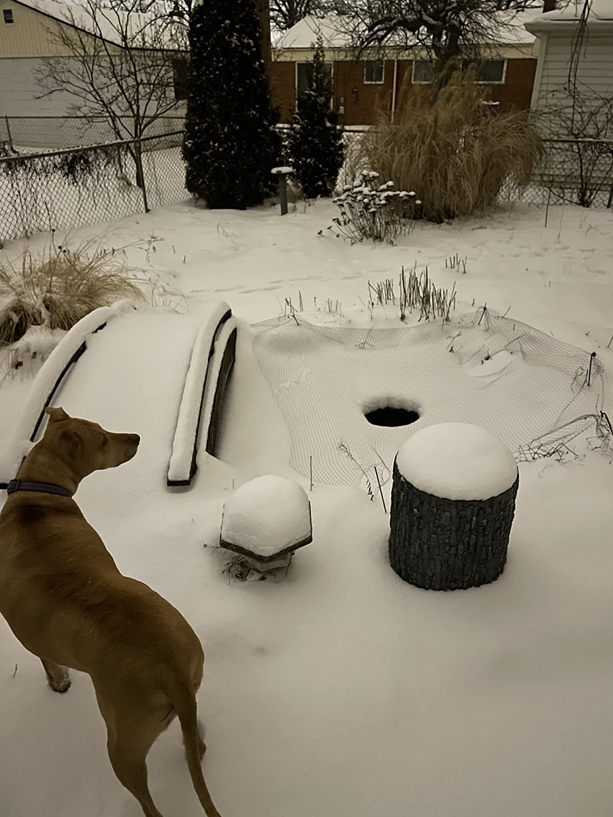 Farm Innovators 1250 Watts 7.5 Inch Cast Aluminum Floating Outdoor Pond De Icer Heater with Built in Thermostat Control and 10 Foot Cord, Green customer photo 1