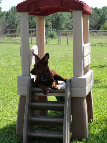 Step2 Play Naturally Playful Lookout Treehouse, Kids Outdoor Playset, Backyard Playground Set, Slide, Ladder, Pivoting Periscope, Outside Jungle Gym, For Toddlers 1.5+ Years Old customer photo 2