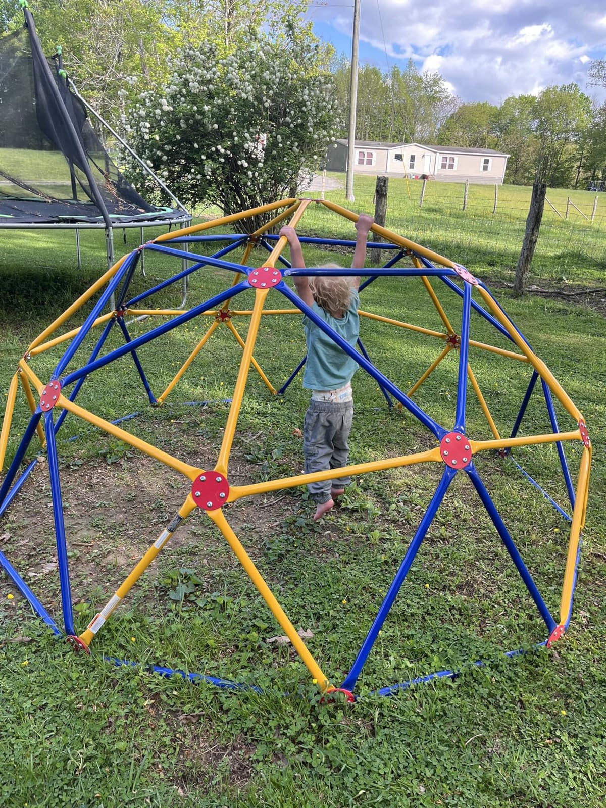 EASY OUTDOOR Space Dome Climber for Kids Backyard Jungle Gym 1000 lb GD-810 customer photo 2