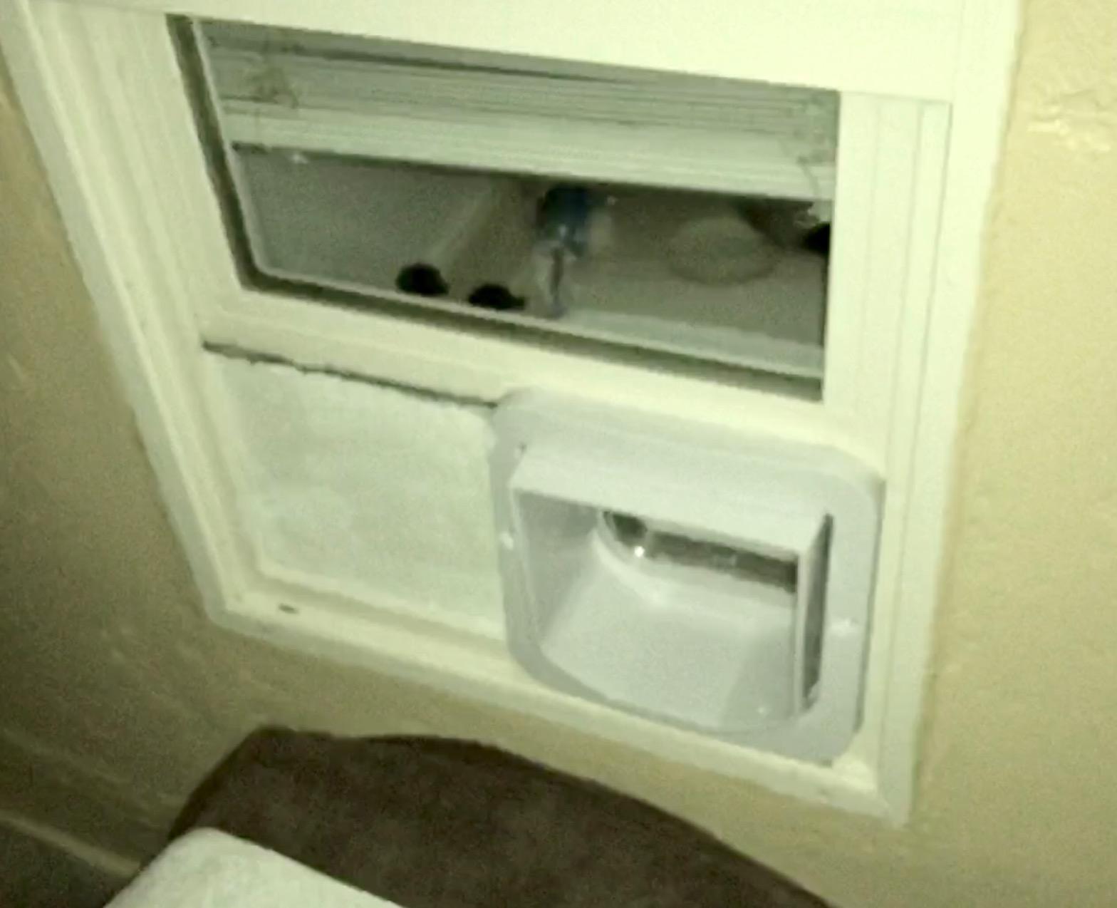 SureFlap - Sure Petcare Microchip Cat Flap, White, Scans Pet's ID on Entry, Check Your Cat's Size,Flap Opening is 4 3/4” (H) by 5 5/8” (W) customer photo 1