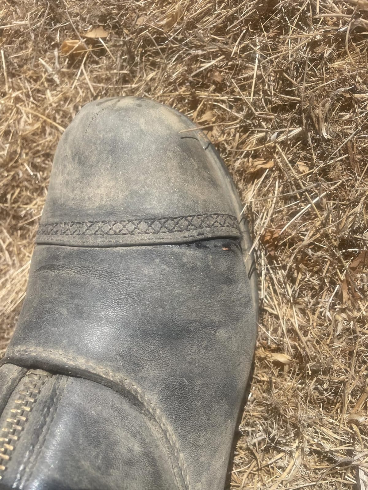 Ariat Women's Heritage Rt Zip Paddock Boot customer photo 1