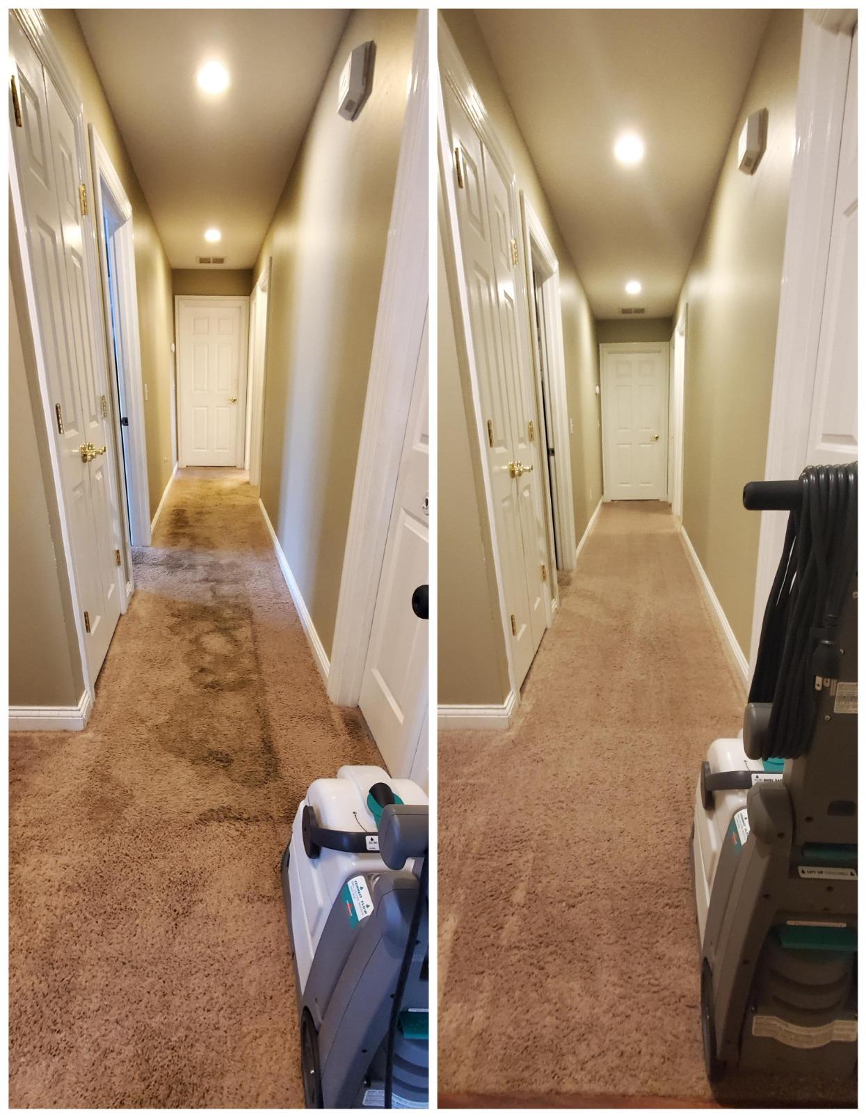 BISSELL Big Green Professional Carpet Cleaner, XL DirtLifter PowerBrush customer photo 2