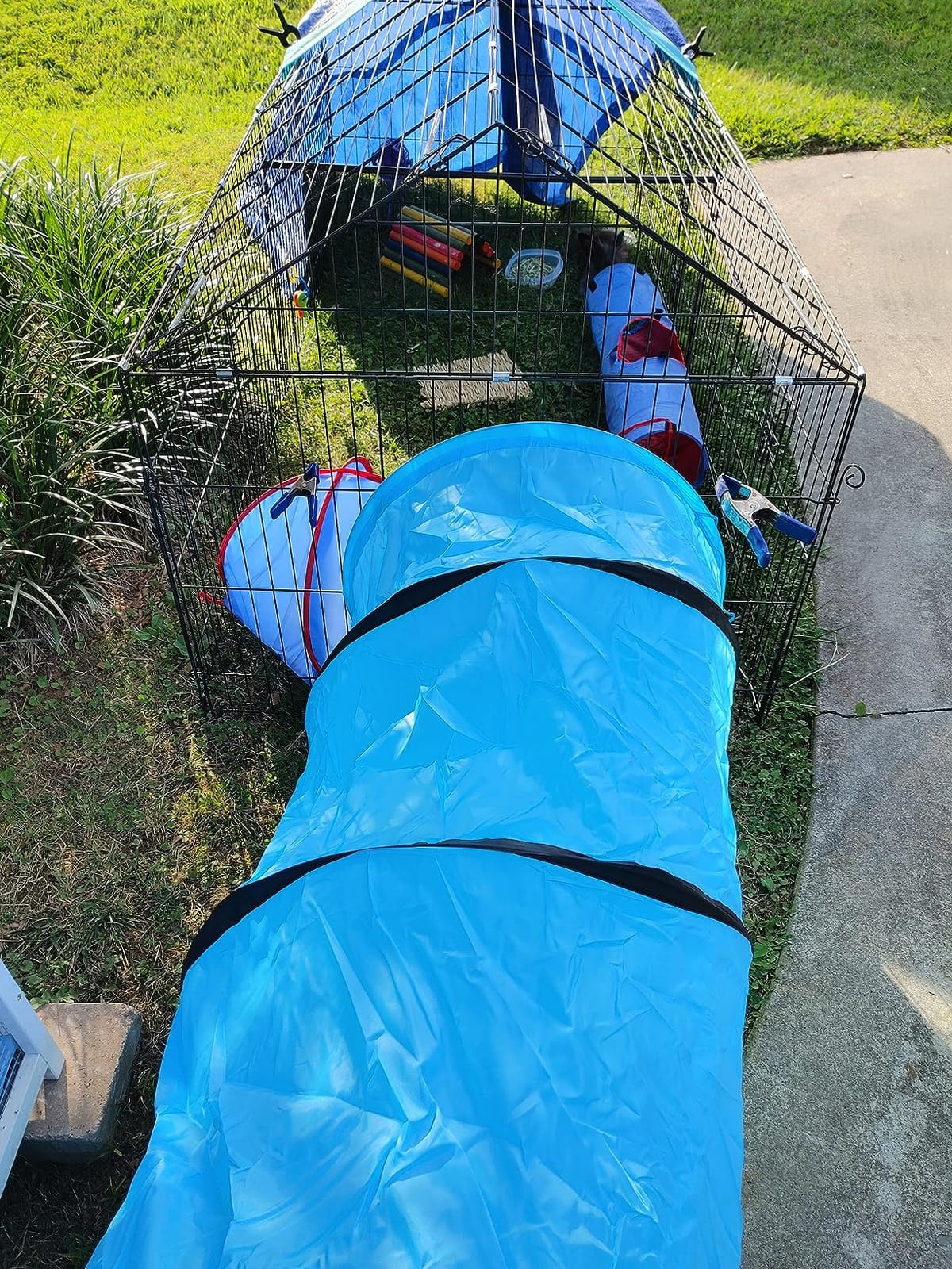 18 Ft Dog Agility Training Open Tunnel customer photo 2