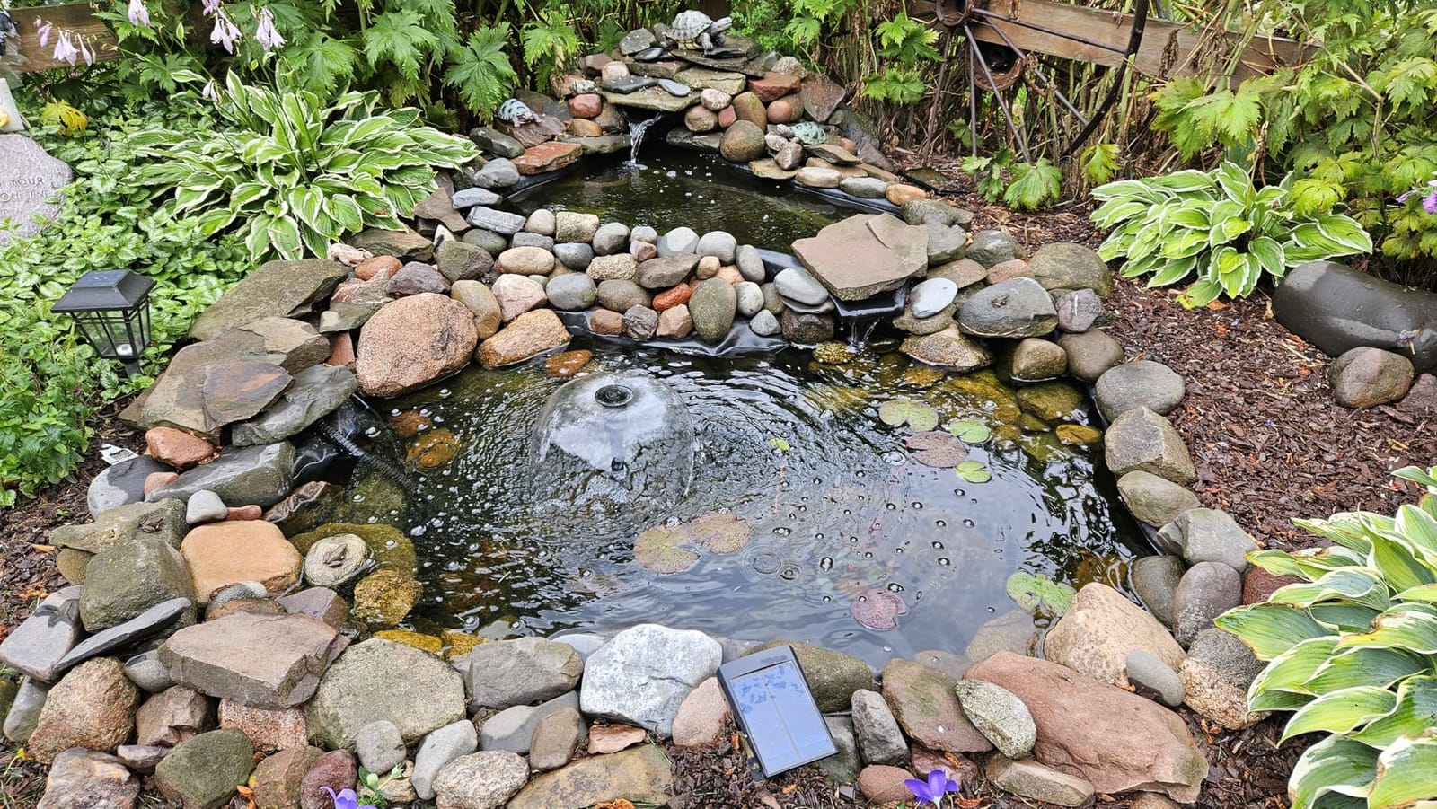 Tetra Pond GreenFree UV Clarifier UVC-5 for Clean & Clear Ponds | For Ponds Up To 660 Gallons, Removes Algae & Keeps Ponds Algae Free, Includes High-Efficiency 5W UV Bulb customer photo 1