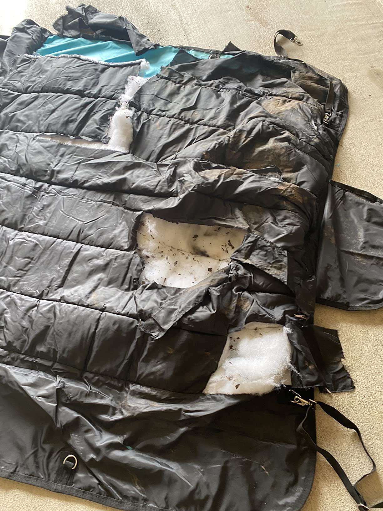 AJ Tack 1200D Waterproof Winter Horse Blanket - 400g Heavyweight Turnout with Fleece Collar, Shoulder Gussets & Tail Flap - Green 78