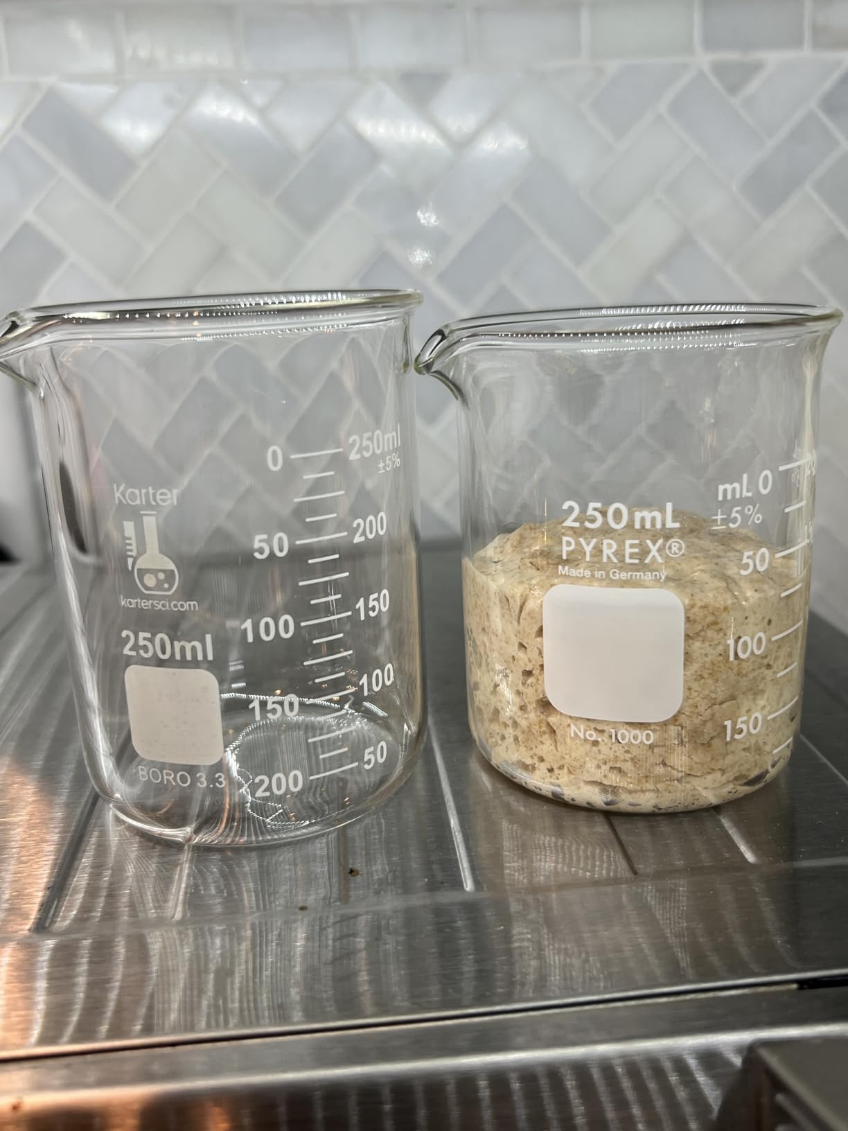 Karter Scientific, 3.3 Boro, Griffin Low Form, Glass Beaker Set - 6 Sizes - 10ml, 50ml, 100ml, 250ml, 500ml, 1000ml customer photo 1