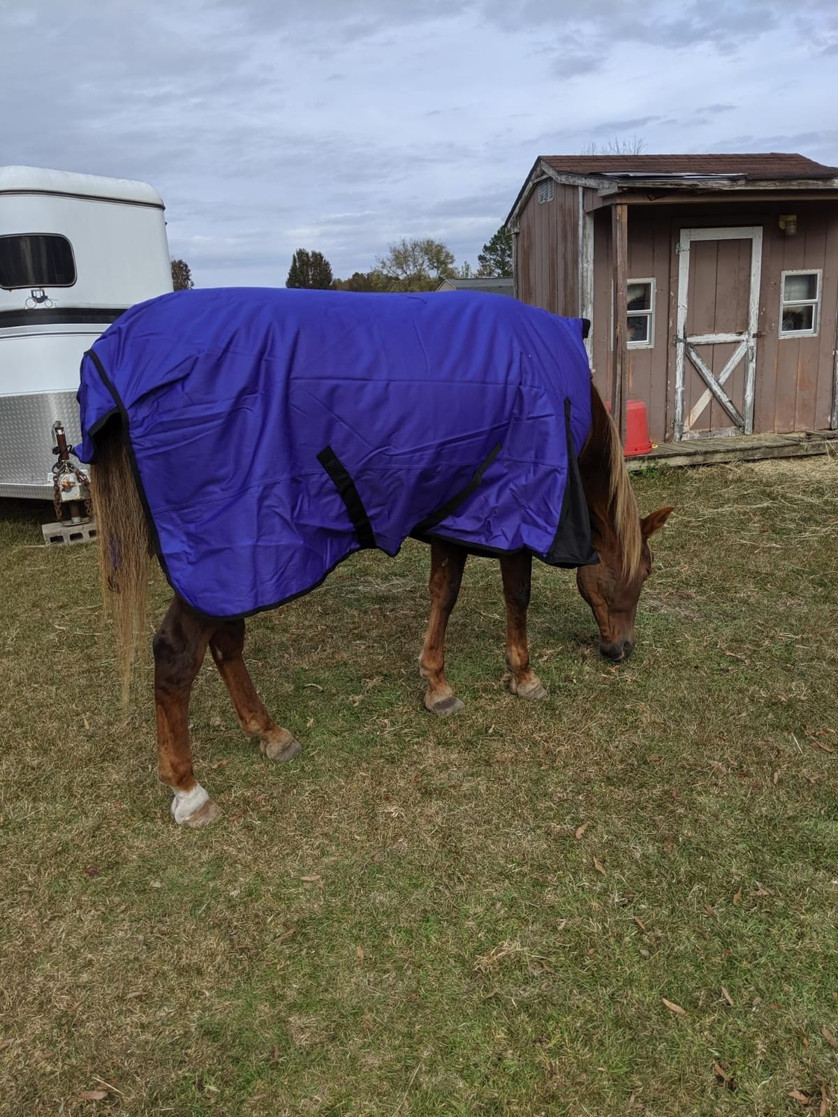 Tough 1 1200D High Neck T/O Blanket 300g customer photo 2