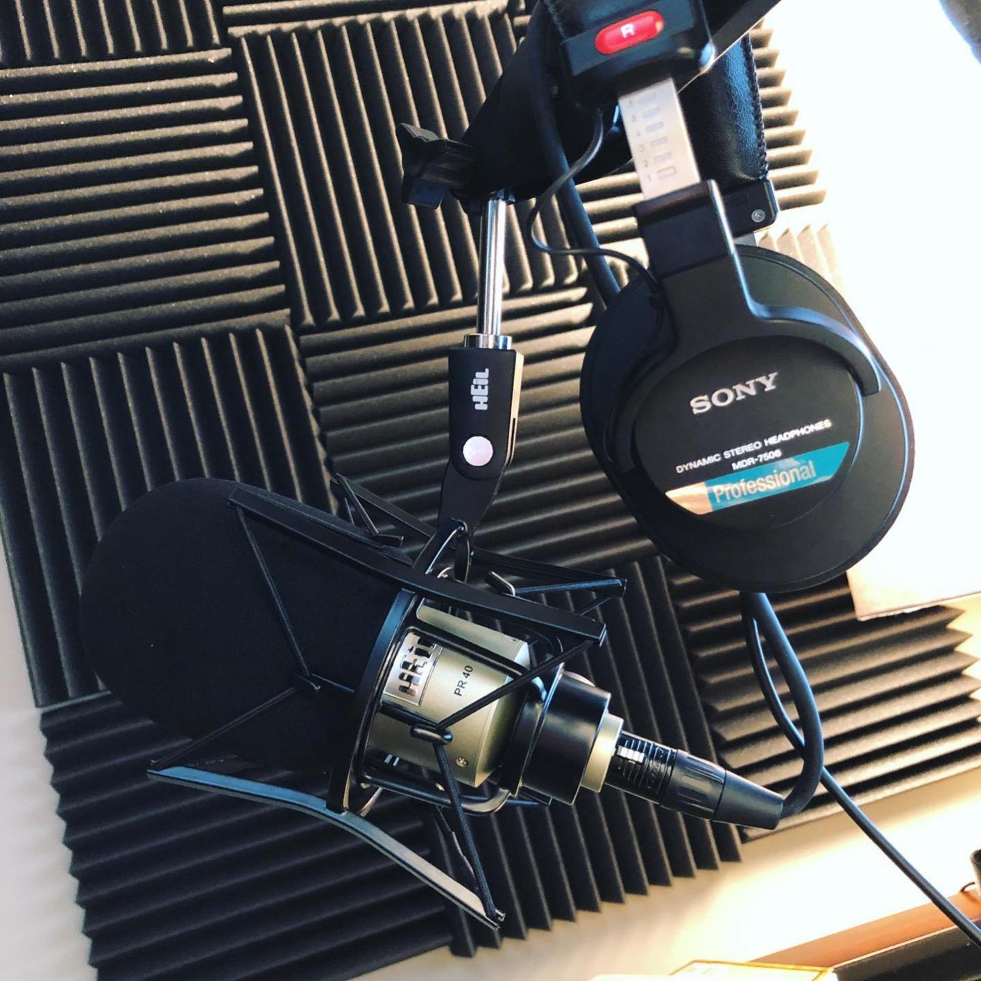 Heil’s PRSM Rugged, Professional-Quality Shock Mount for Home or Studio Use, Video Podcast, Broadcast, Audio Podcast customer photo 1