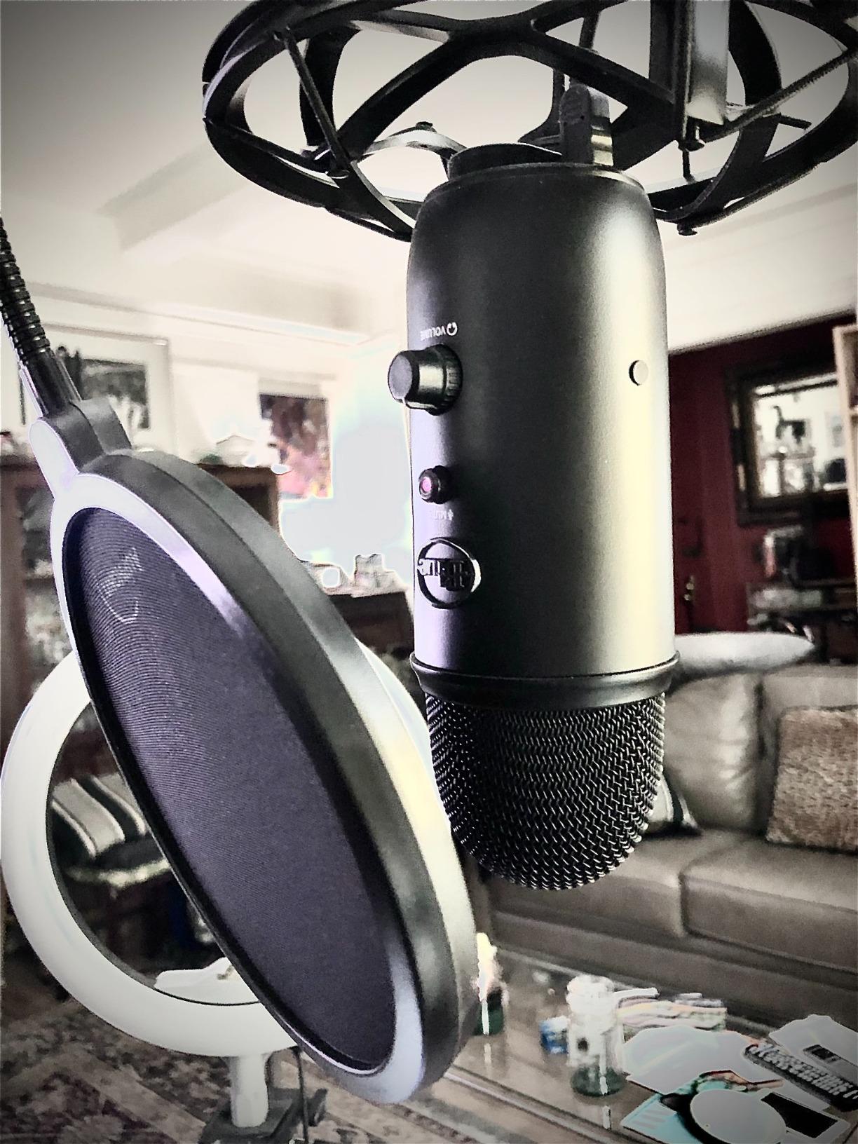 Microphone Pop Filter (MPF-1) 6-inch Diameter With Double Mesh Filter Screen customer photo 1