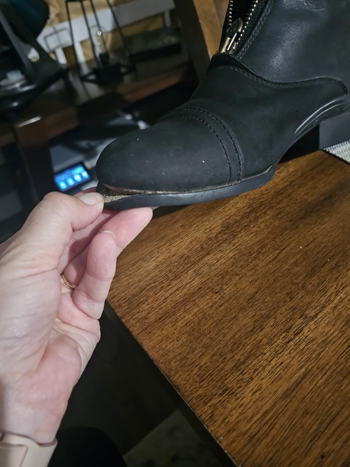 ARIAT Scout Zip Paddock customer photo 1