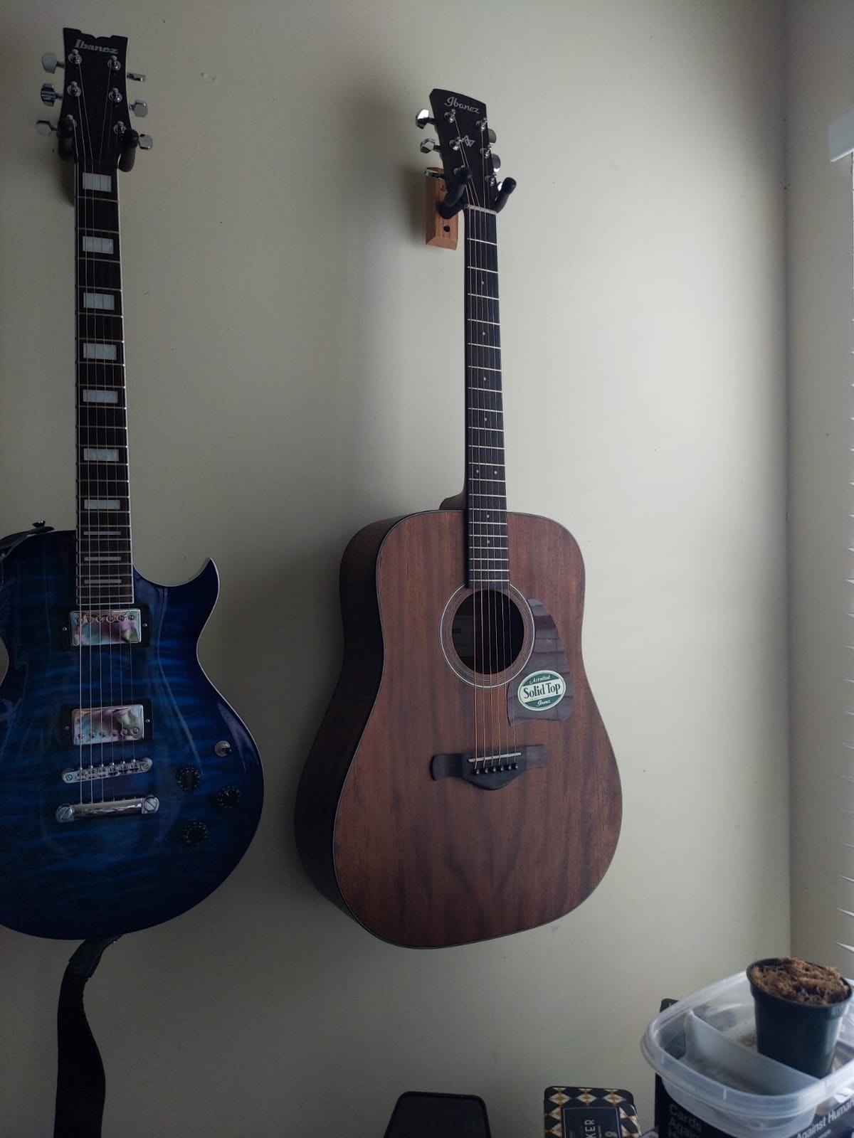 Ibanez Artwood Dreadnought Acoustic Guitar-Open Pore Natural customer photo 2