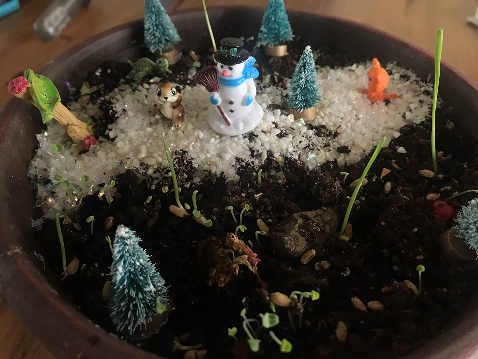 Creativity for Kids Grow 'N Glow Terrarium Kit - Educational Science Kits customer photo 1