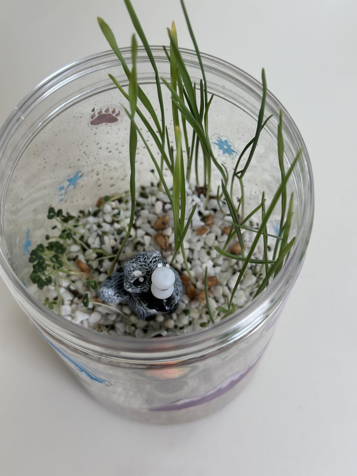 Creativity for Kids Grow 'N Glow Terrarium Kit - Educational Science Kits customer photo 2
