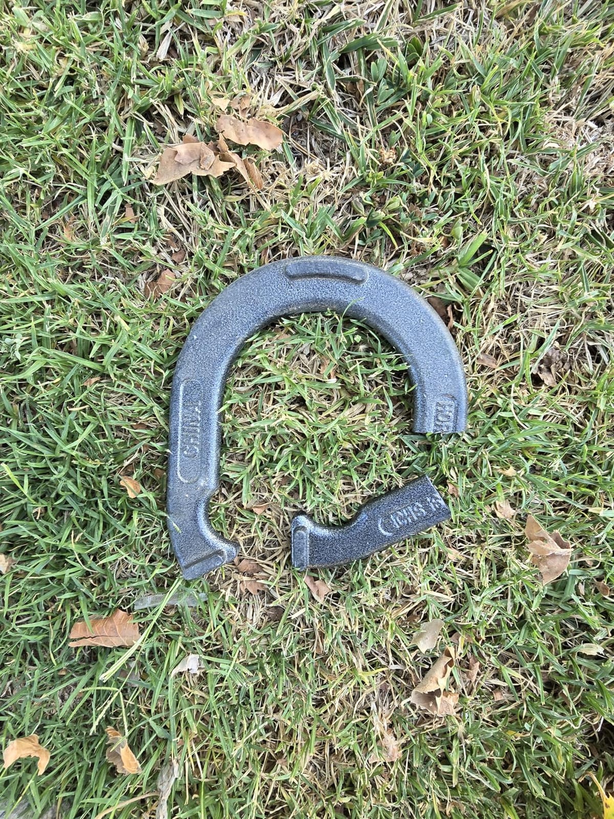 Triumph Forged and Steel Horseshoe Set Complete with 4 Horseshoes, 2 Stakes - Patriotic or Blue and Grey Colors - Perfect Addition for Parties and Outdoor Gatherings customer photo 1