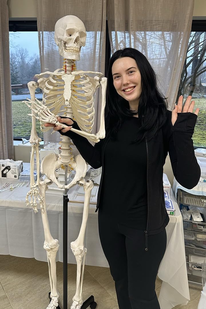 Axis Scientific Life Size Skeleton Model for Anatomy Study | Includes 3 Printed Guides, Pelvic-Mounted Rolling Stand, US-Based Customer Service customer photo 2