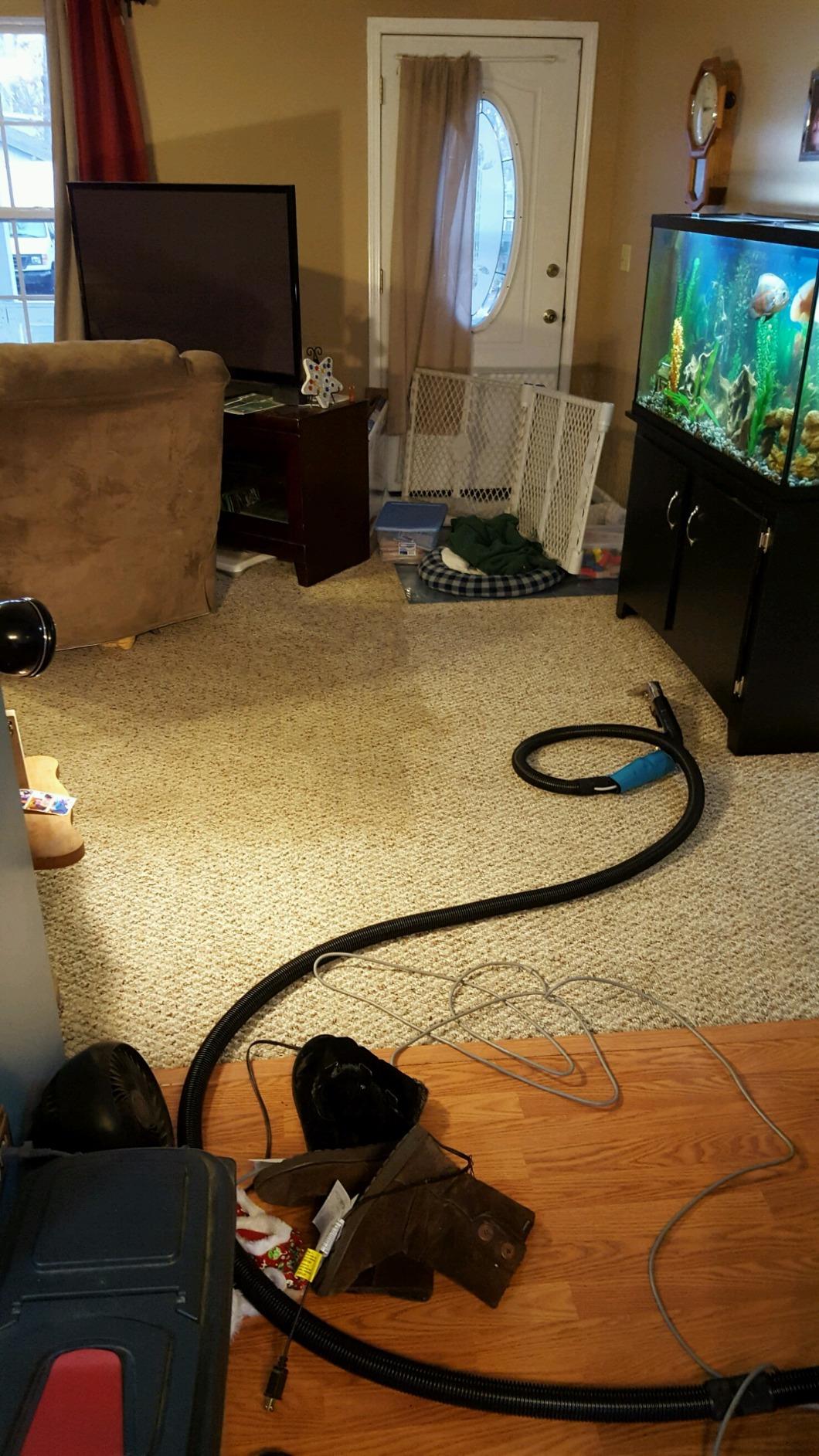 Mytee Lite 8070 Carpet Extractor Machine, Heated 3 Gallon tank customer photo 2