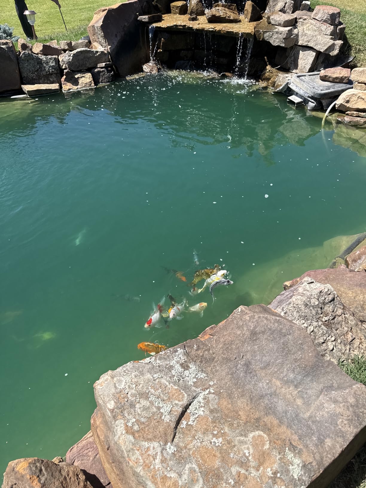 The Pond Guy Pond Aerator 1, Complete Aeration Kit, Water Garden Oxygenation Bubbler System Adds Oxygen to Koi & Fish Ponds, Outdoor Diaphragm Compressor Pump, Air Line & 1 Submersible Diffuser Stick customer photo 1