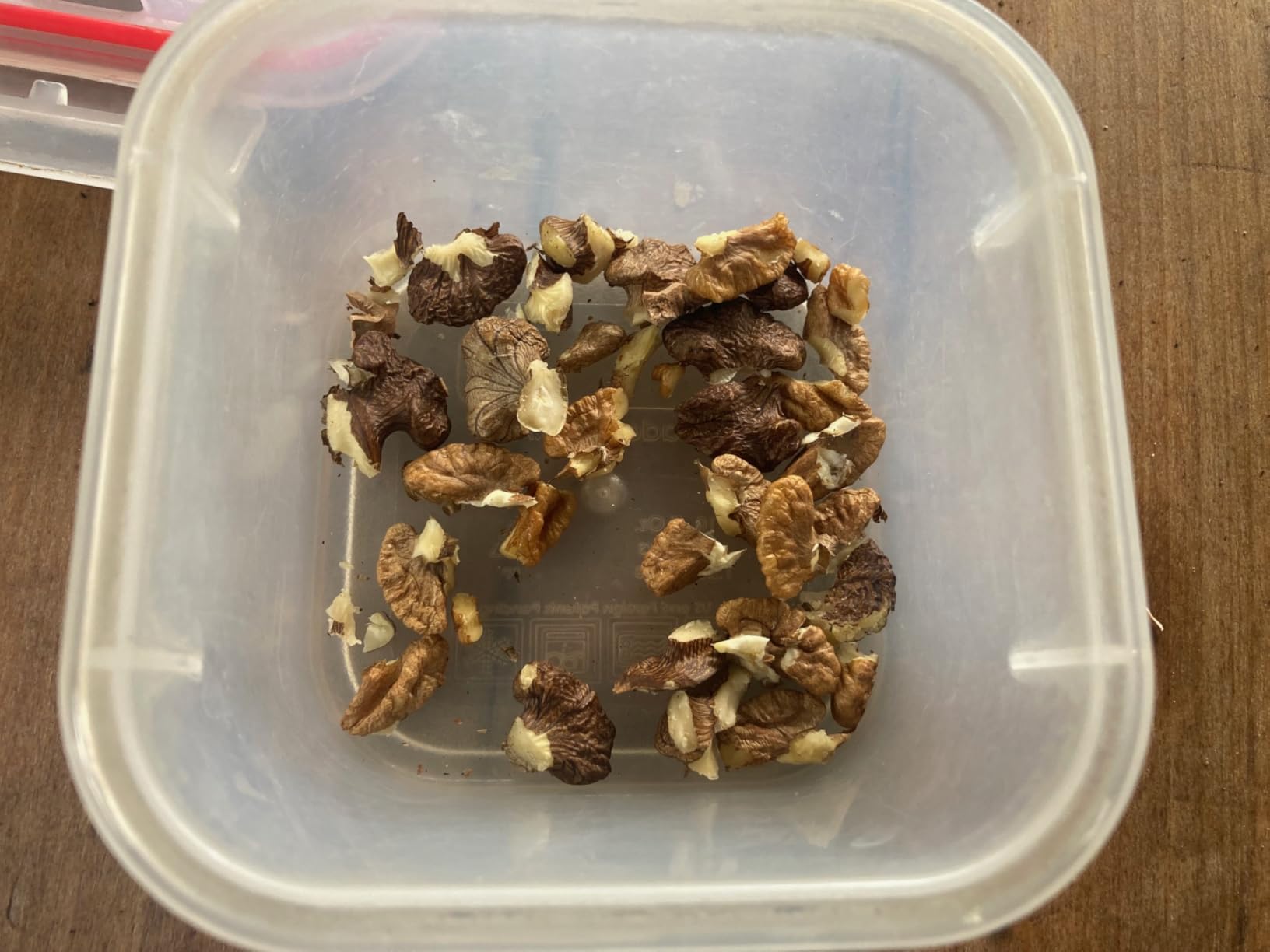 Black Walnut Nut Cracker (Steel) customer photo 2