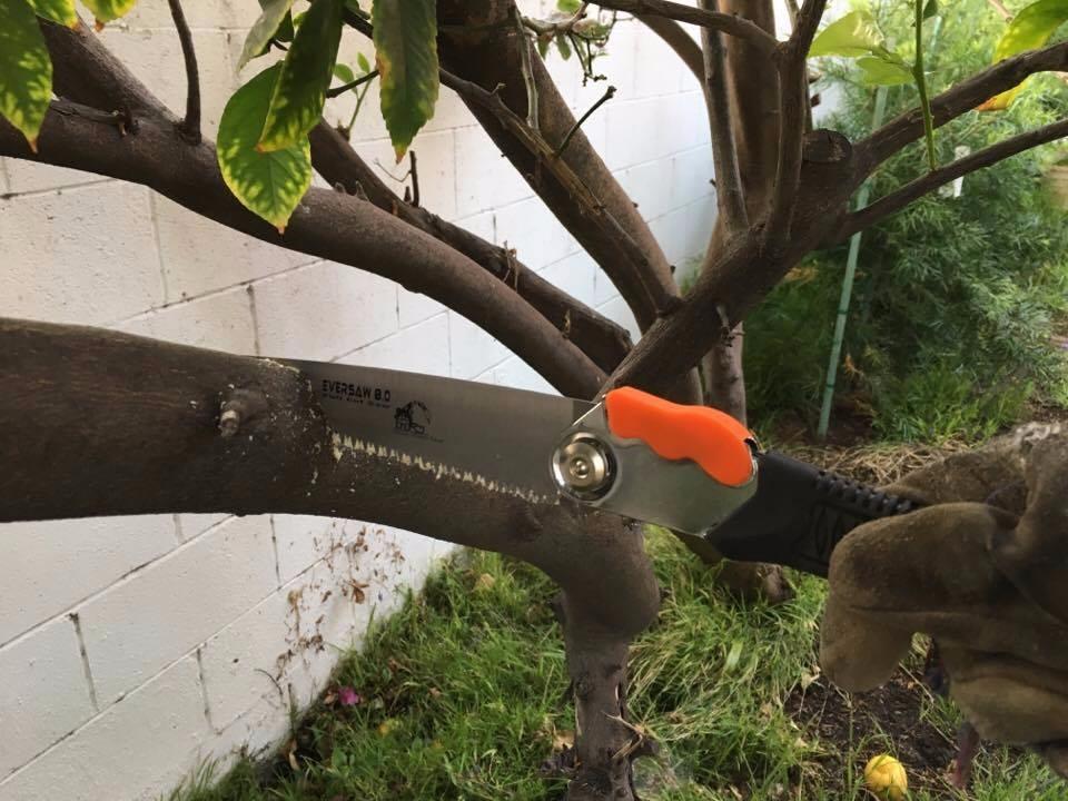 8-inch Folding Hand Saw Compact Camp Saw for Trees Pruning and Gardening customer photo 1