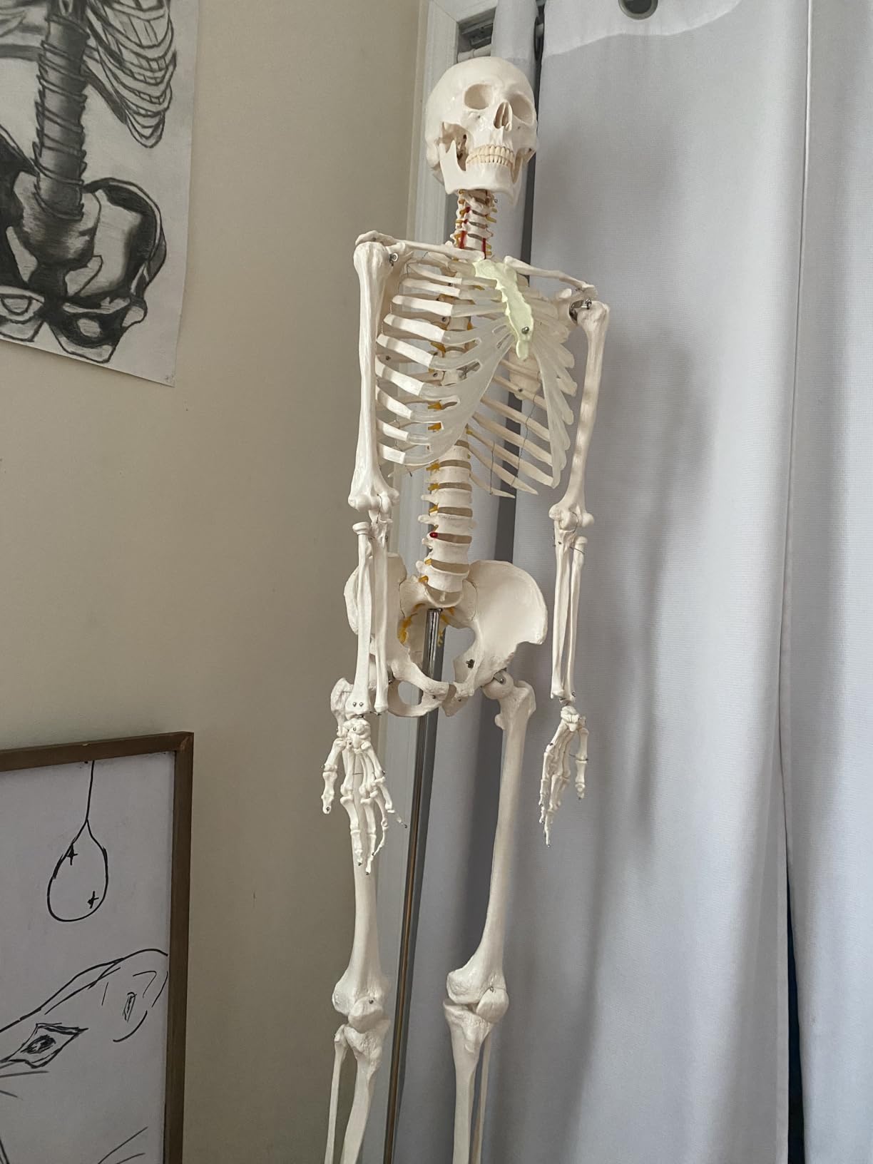 GIANTEX Life Size 70.8