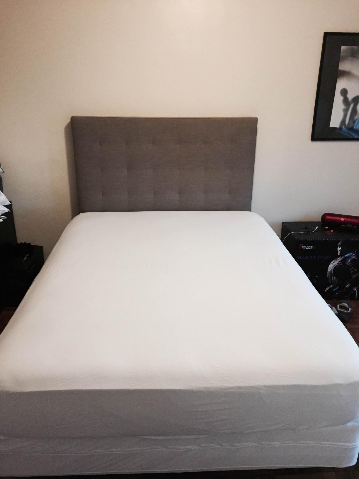 HOSPITOLOGY PRODUCTS Mattress Encasement - Zippered Bed Bug Dust Mite Proof Hypoallergenic - Sleep Defense System - Queen - Waterproof - Stretchable customer photo 1