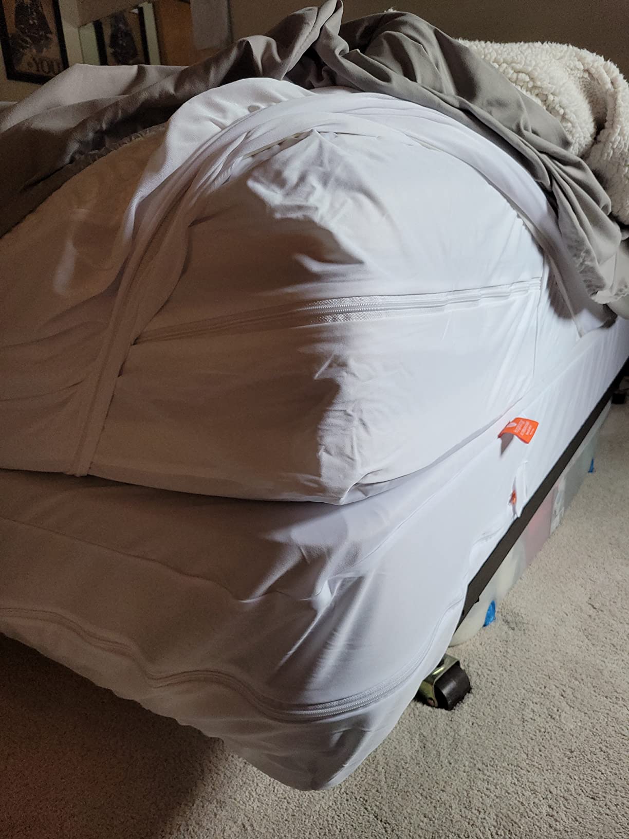HOSPITOLOGY PRODUCTS Mattress Encasement - Zippered Bed Bug Dust Mite Proof Hypoallergenic - Sleep Defense System - Queen - Waterproof - Stretchable customer photo 2