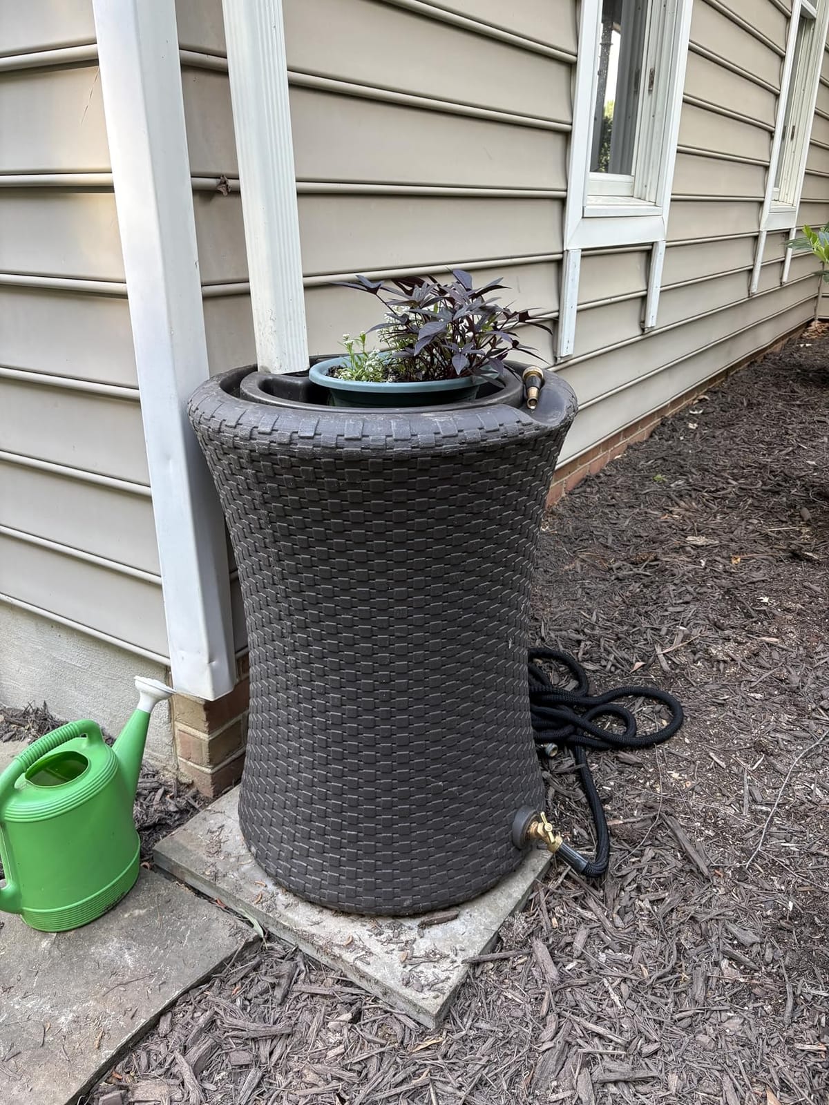 Good Ideas Impressions Nantucket Rain Water Collection Barrel, 50 Gallon | Dark Brown Rainwater Catcher, Outdoor Home Water Storage Collector with Garden Planter and Metal Spigots customer photo 2