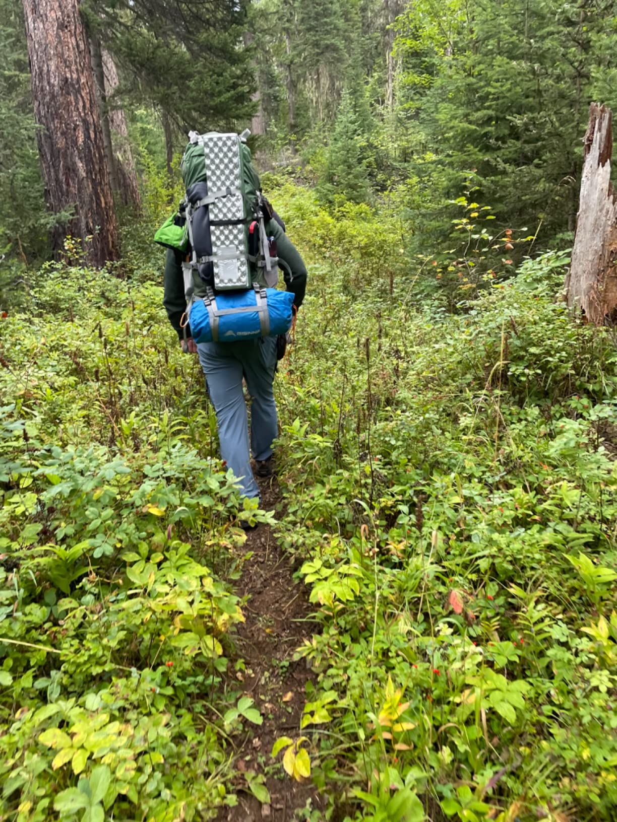MOUNTAINTOP 70L Internal Frame Backpack Camping Backpacking Hiking Backpack for Men Women with Rain Cover customer photo 1