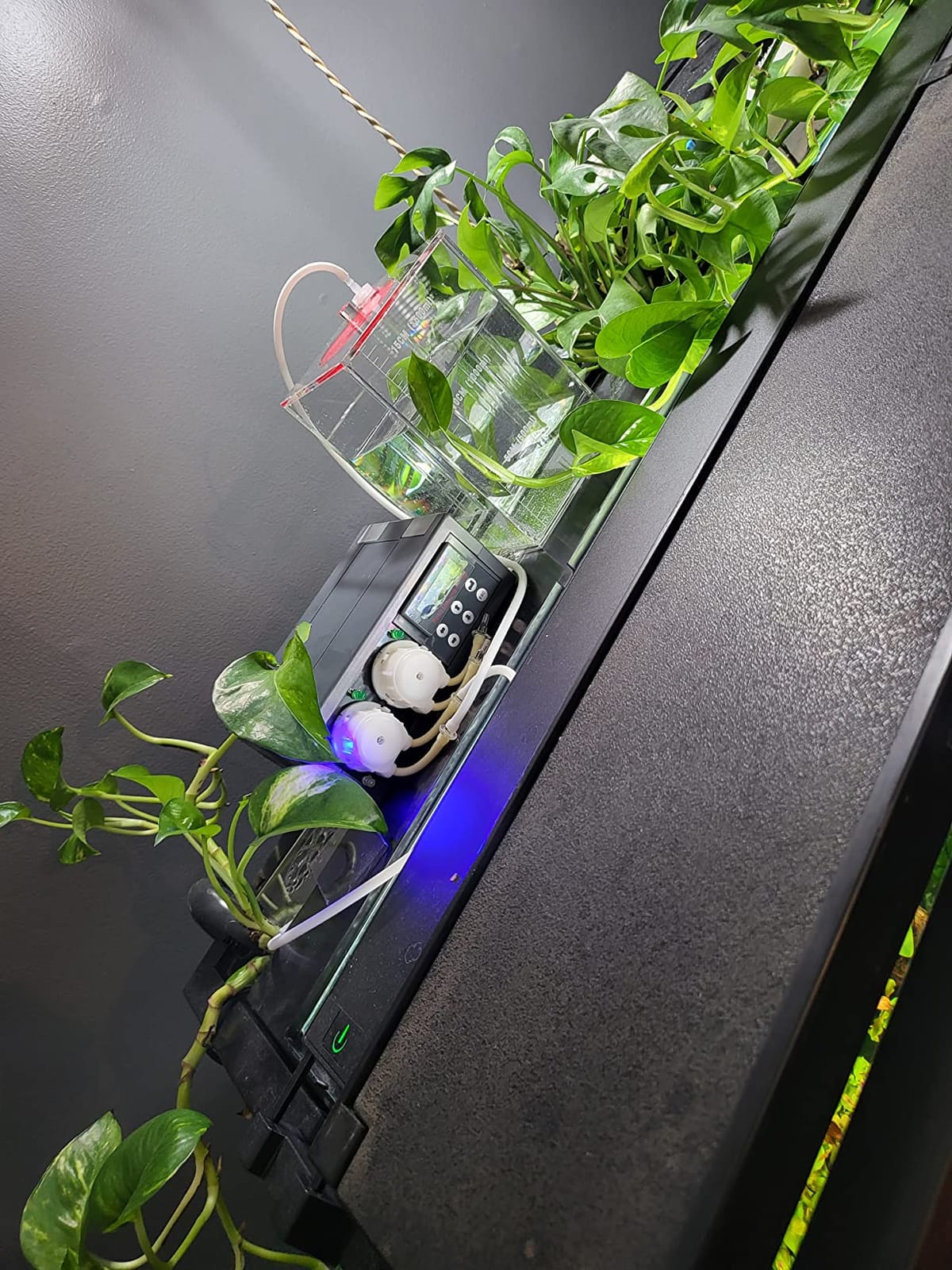 Jecod DP-2 Programmable Auto Dosing Pump, 2 Channel | Automatic Aquarium Doser for Reef & Marine Aquariums, Adjustable Liquid Dosing System customer photo 1