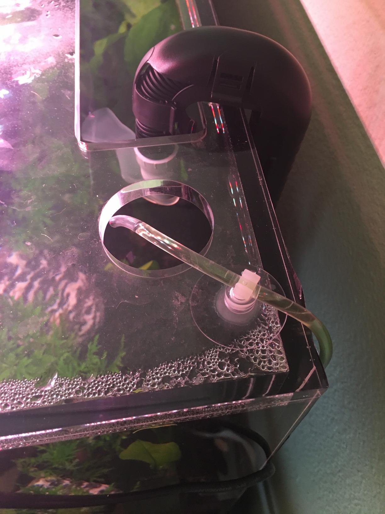 Jecod DP-2 Programmable Auto Dosing Pump, 2 Channel | Automatic Aquarium Doser for Reef & Marine Aquariums, Adjustable Liquid Dosing System customer photo 2