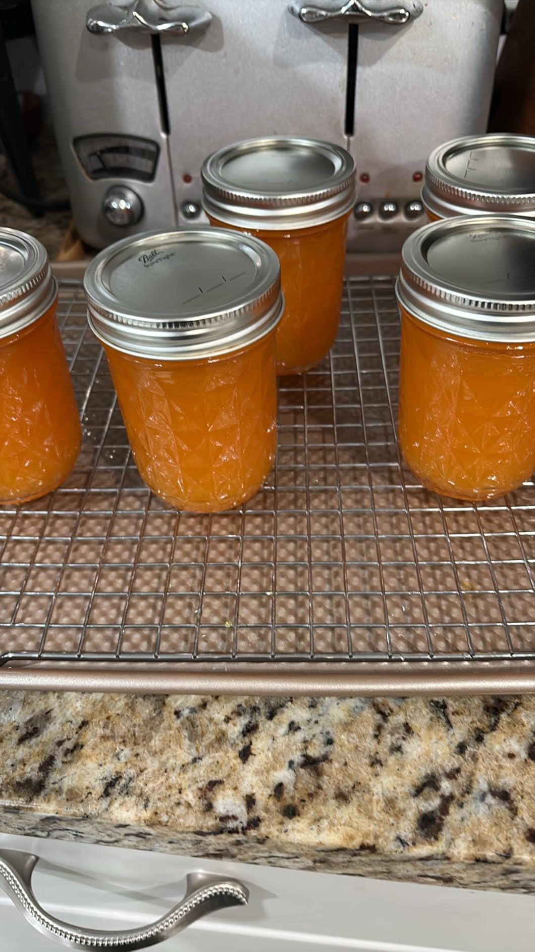 Ball Electric Canner customer photo 2