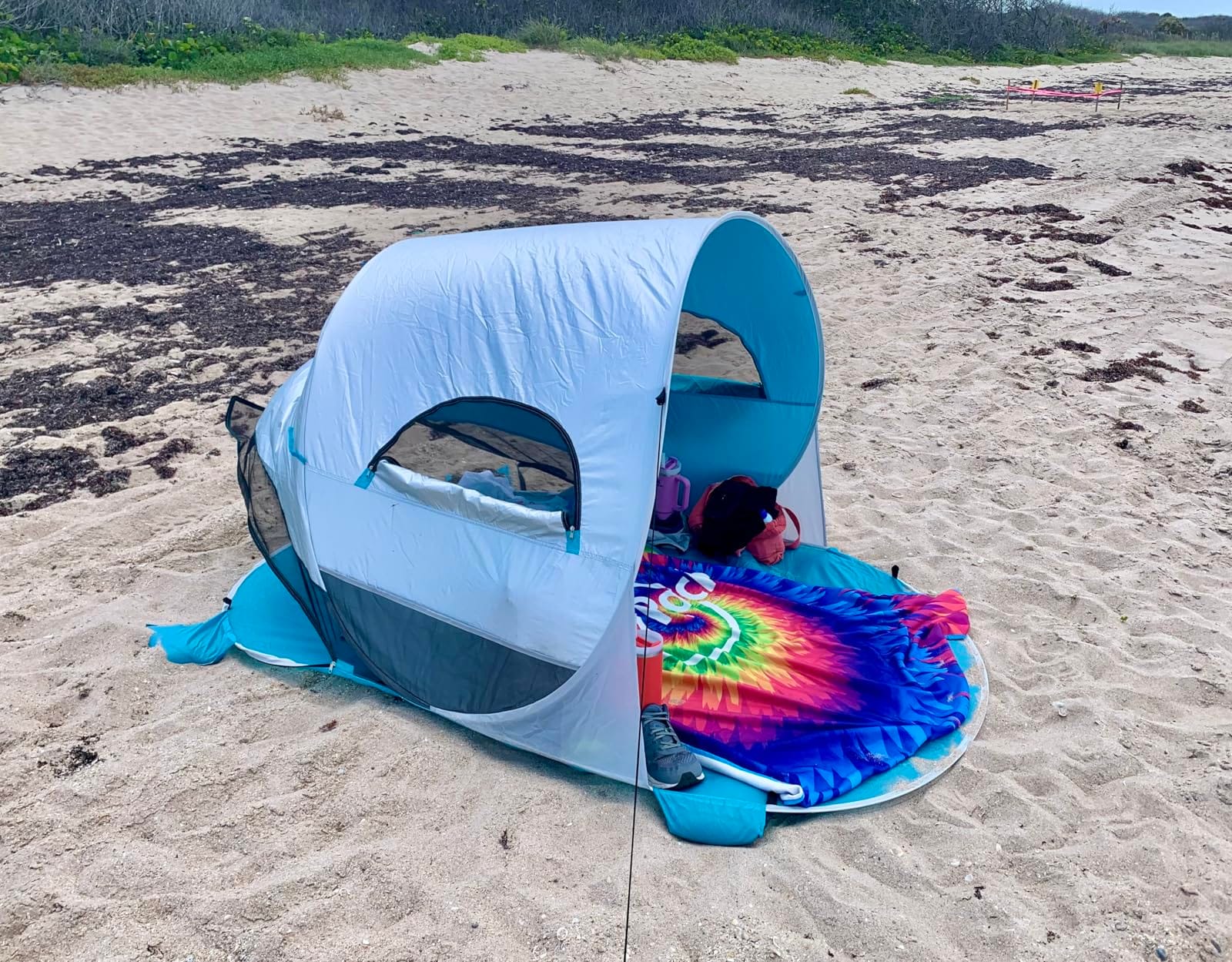 Wolfwise Pop Up Beach Tent, Easy Setup Sun Shade Shelter Foldable 3 Person customer photo 1