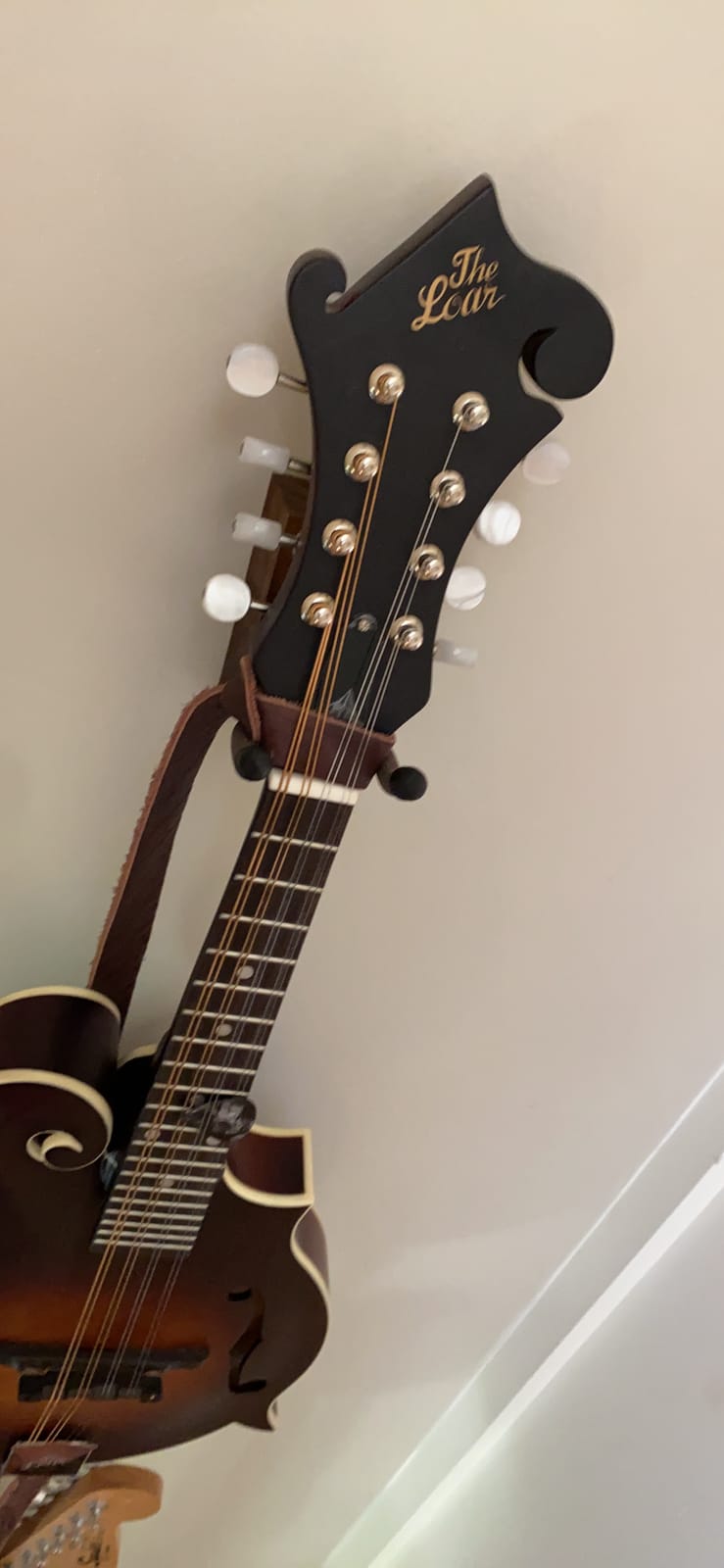 The Loar LM-310F-BRB Honey Creek F-Style Mandolin customer photo 1