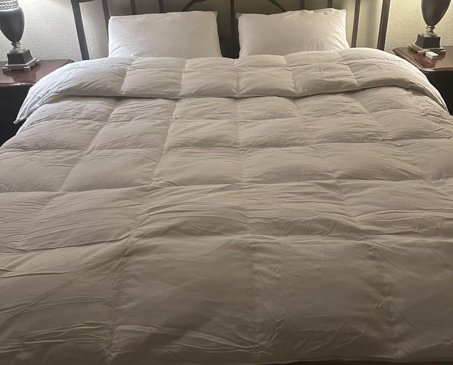 Globon Winter Goose Down Comforter Queen Size,800 Fill Power,White customer photo 1