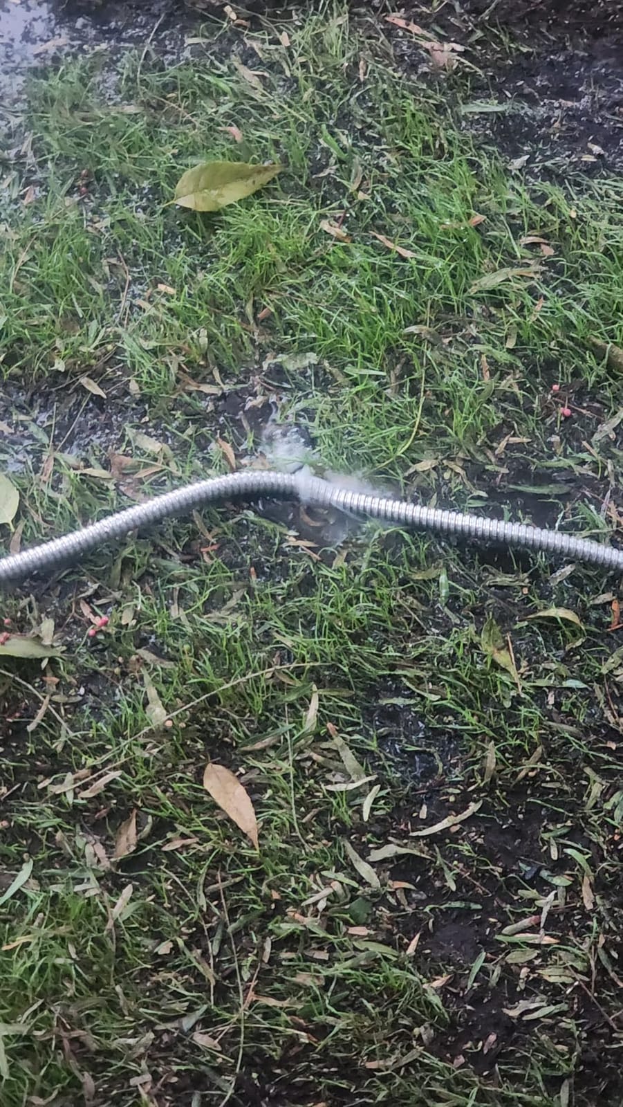 BIONIC STEEL 100 Ft Metal Garden Hose with Sprayer Nozzle customer photo 1