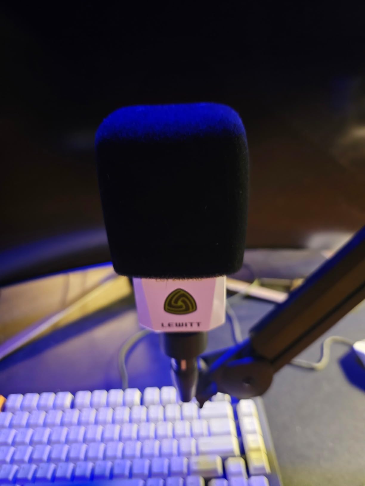 LEWITT LCT 240 Pro Large Diaphragm Condenser Mic customer photo 2