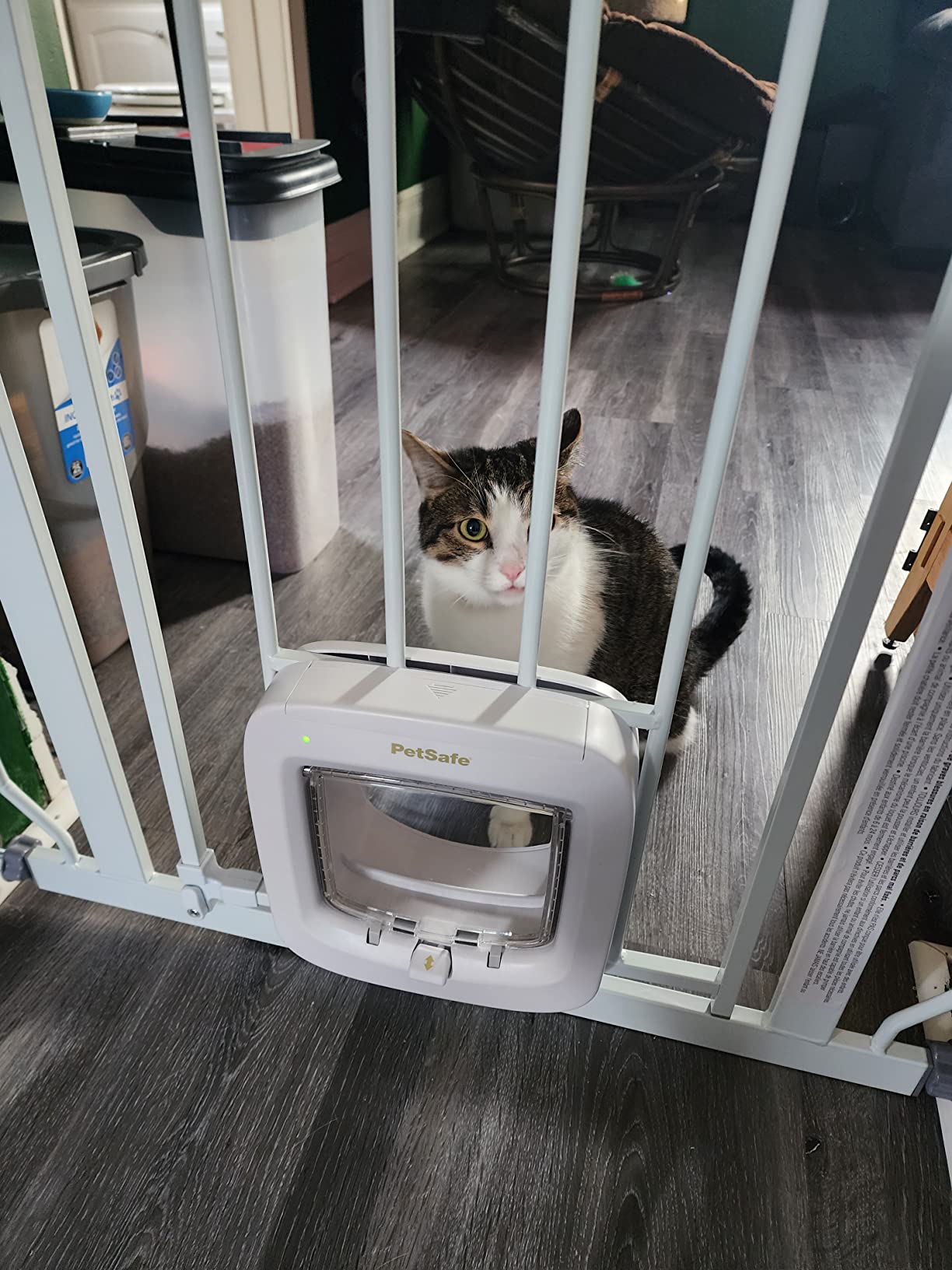 PetSafe Microchip Cat Door, Interior/Exterior, Multi-Pet, 4-Way Lock customer photo 1
