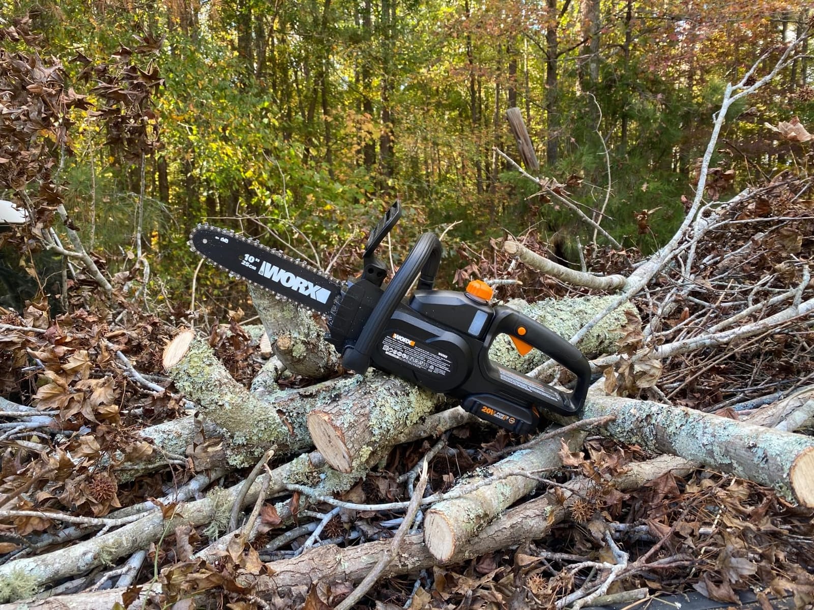 WORX Cordless Chainsaw with Auto-Tension, 20V 10