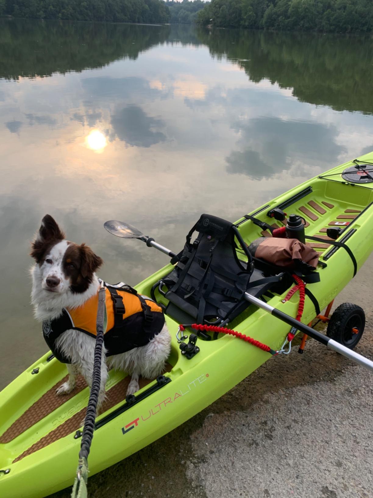 Kayak Cart – 150 Lbs Capacity Canoe Dolly with Airless Tires, Foldable Aluminum Frame, and Carrying Bag for Personal Watercraft by Rad Sportz (Orange) customer photo 2