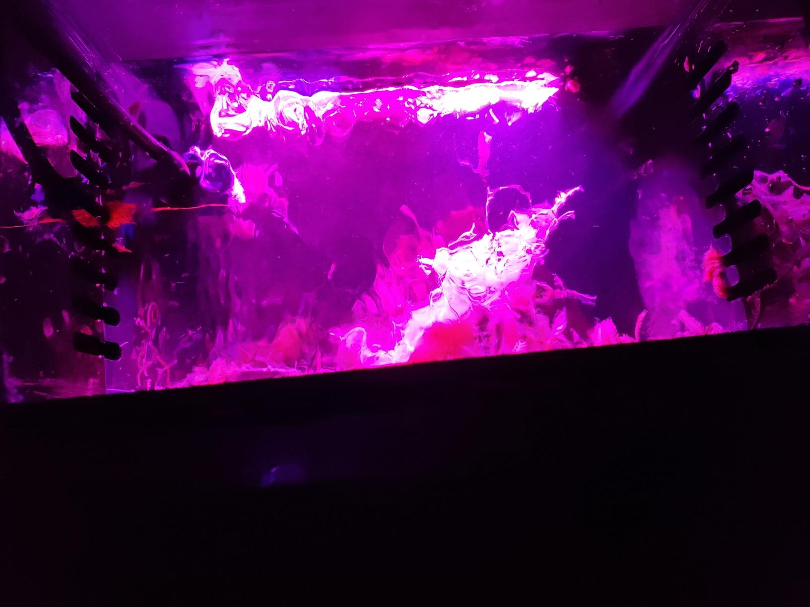 Innovative Marine ChaetoMax Refugium LED Light (9 Watt) customer photo 1