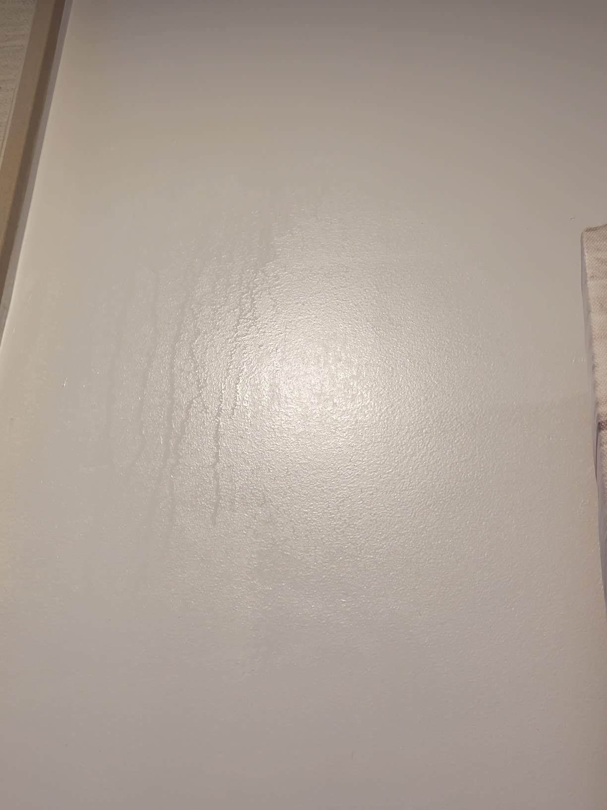 Panasonic WhisperSense Ceiling Mount Bathroom Exhaust Fan with Motion & Humidity Sensors, 50-80-110 CFM, FV-0511VQC1 customer photo 2