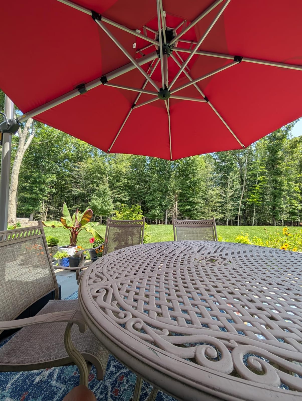 PURPLE LEAF Cantilever Patio Umbrella 10 FT, Wind Resistant Canopy, Terra customer photo 1