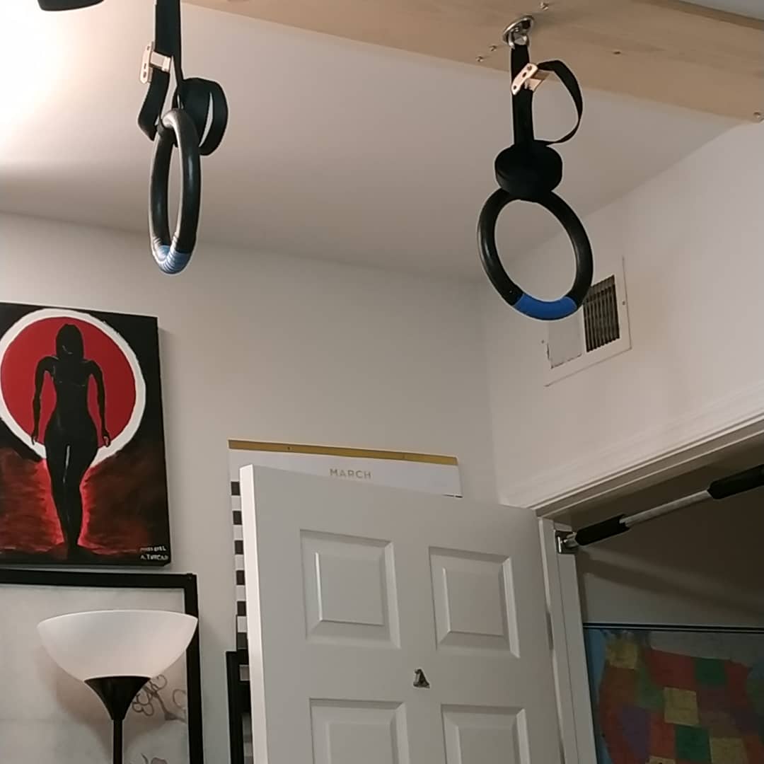 ZELUS Gymnastic Rings, Exercise Olympic Rings with Adjustable Straps, Steel Buckles, Perfect for Workout, Strength Training, Pull-Ups and Dips (Black) customer photo 1