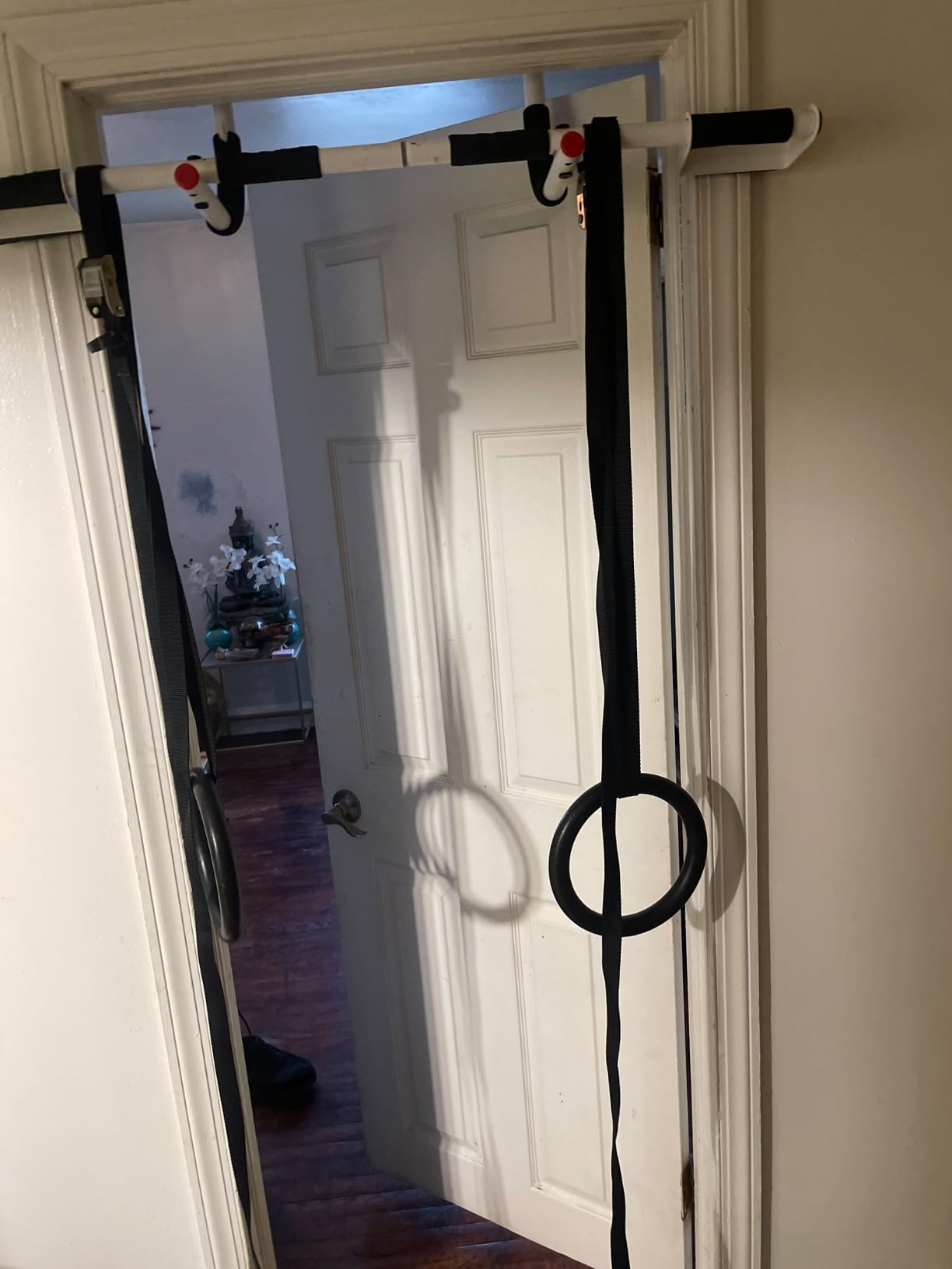 ZELUS Gymnastic Rings, Exercise Olympic Rings with Adjustable Straps, Steel Buckles, Perfect for Workout, Strength Training, Pull-Ups and Dips (Black) customer photo 2