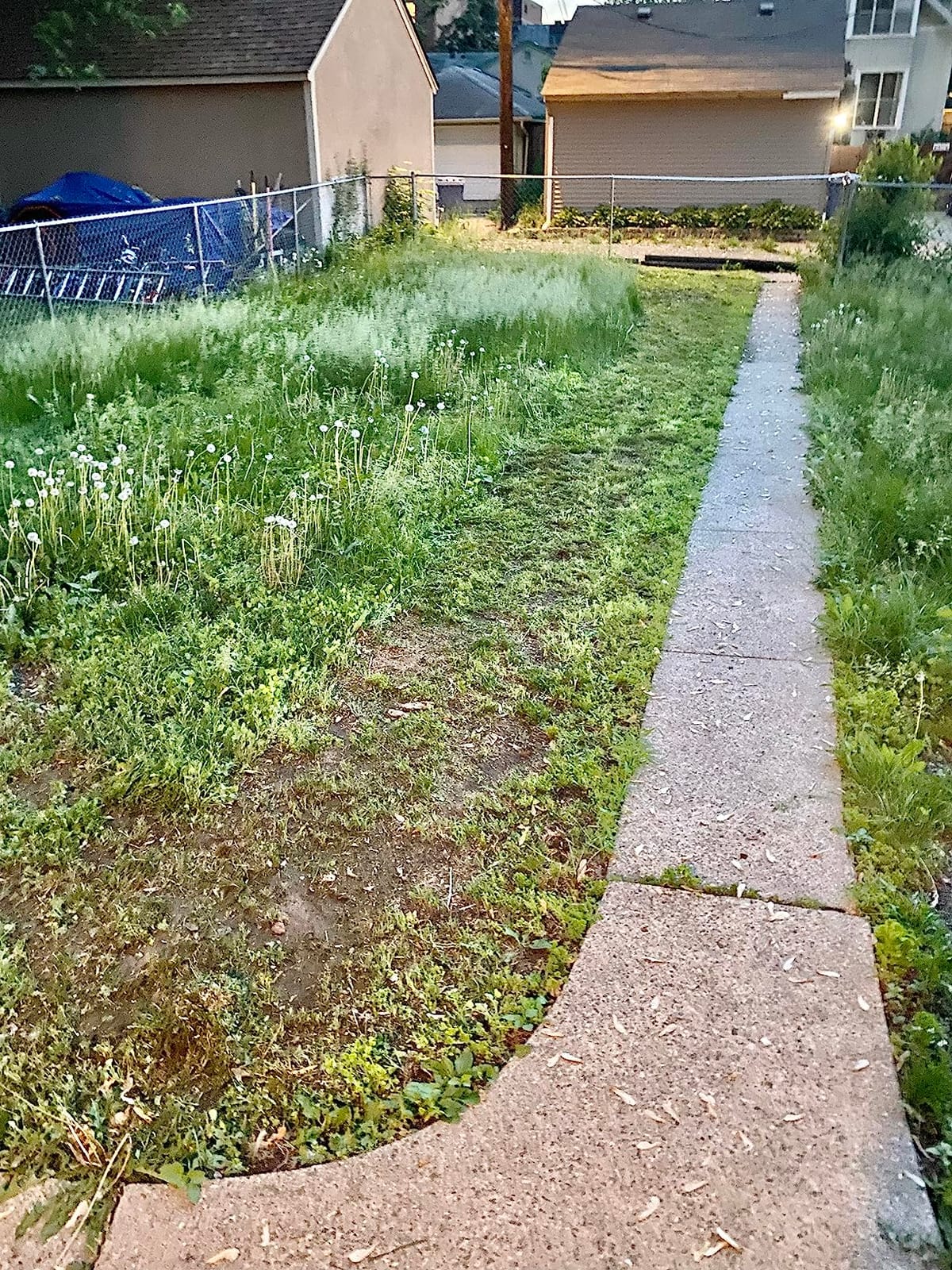 BLACK+DECKER Electric Lawn Mower with Bike Handle, 15-Inch, 10-Amp, Corded (BEMW472BH) customer photo 1